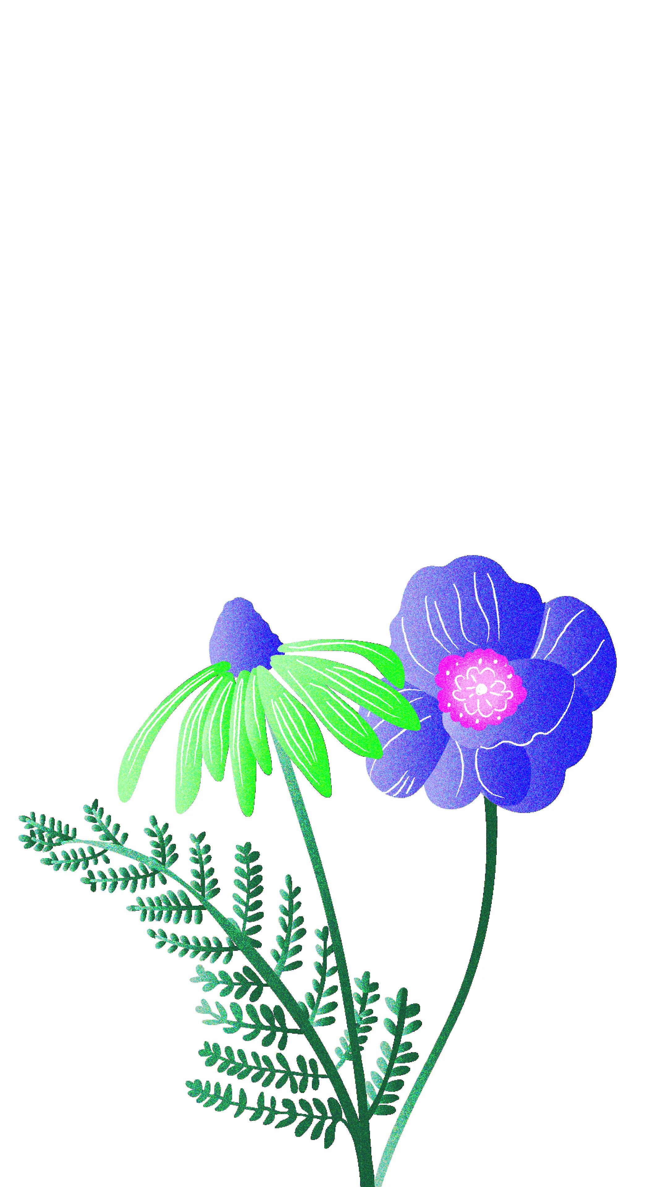 Artboard 3 copy 2@2.jpg