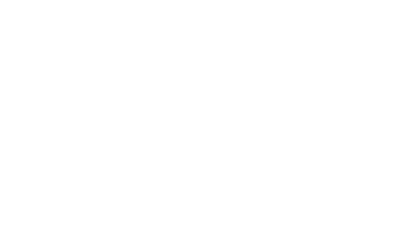 iFLYflat - The Points Whisperer