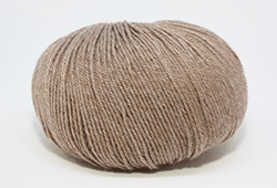 bambini 8-04 Camel.gif