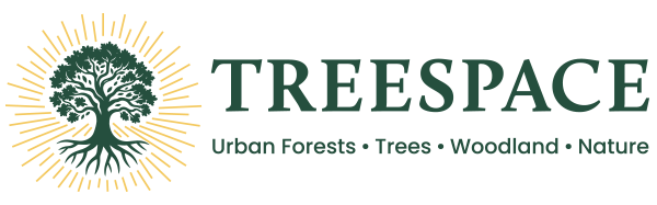 Tree Space | Tree Surveys | Tree Planning &amp; Development | Tree Safety | Woodland Management
