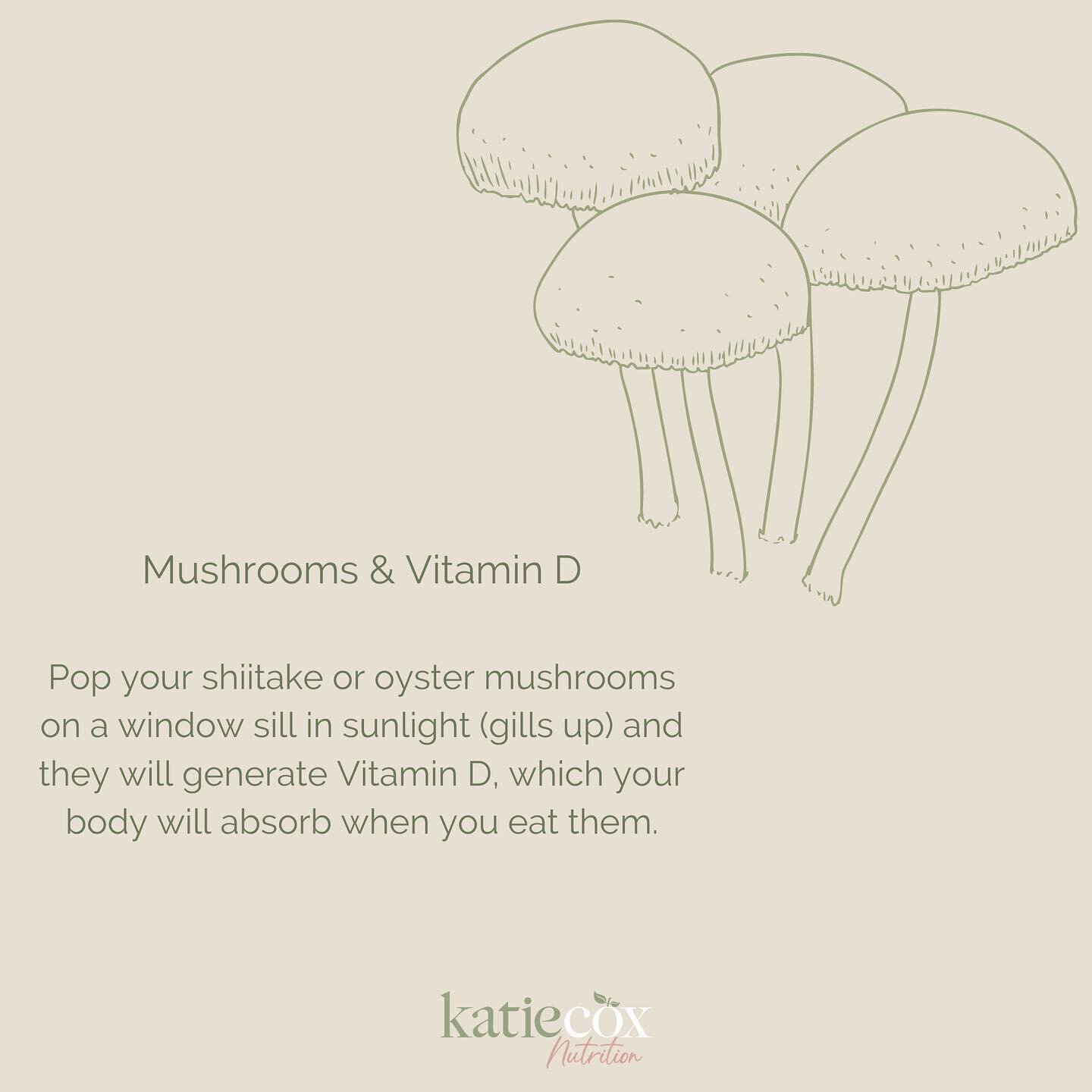 〰️Friday Fact〰️

🍄Mushrooms and Vitamin D🌞

Pop your shiitake or oyster mushrooms on a window sill in sunlight (gills up) and they will generate Vitamin D, which your body will absorb when you eat them!

#fridayfact #brisbanenutritionist #mushrooms