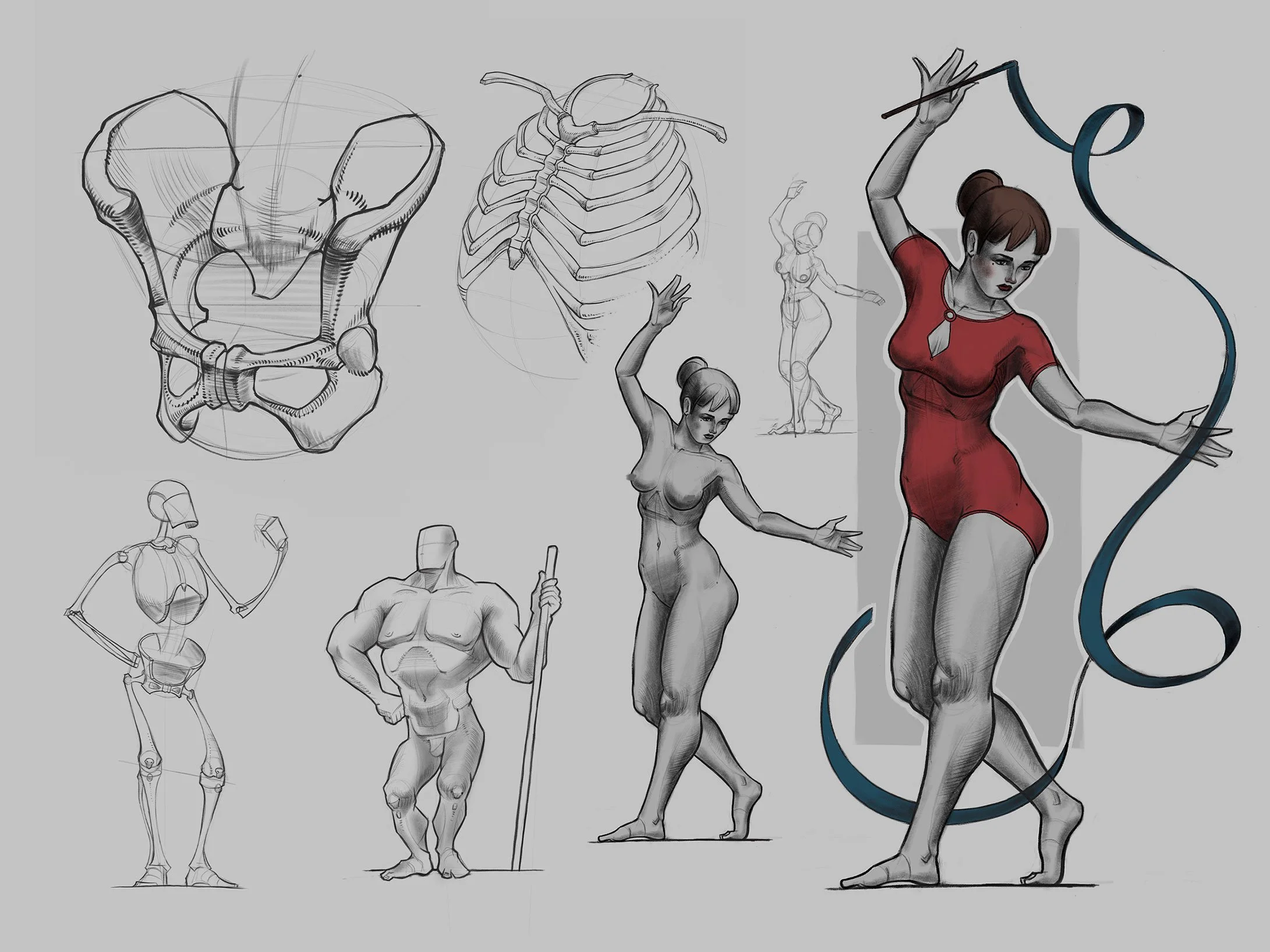 Anatomy Sketches