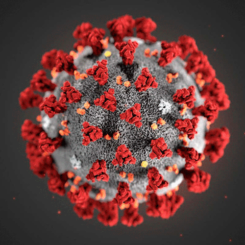 Illustration of the ultrastructure of the COVID-19 virus CDC/SCIENCE PHOTO LIBRARY