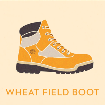 boot-4_360.gif