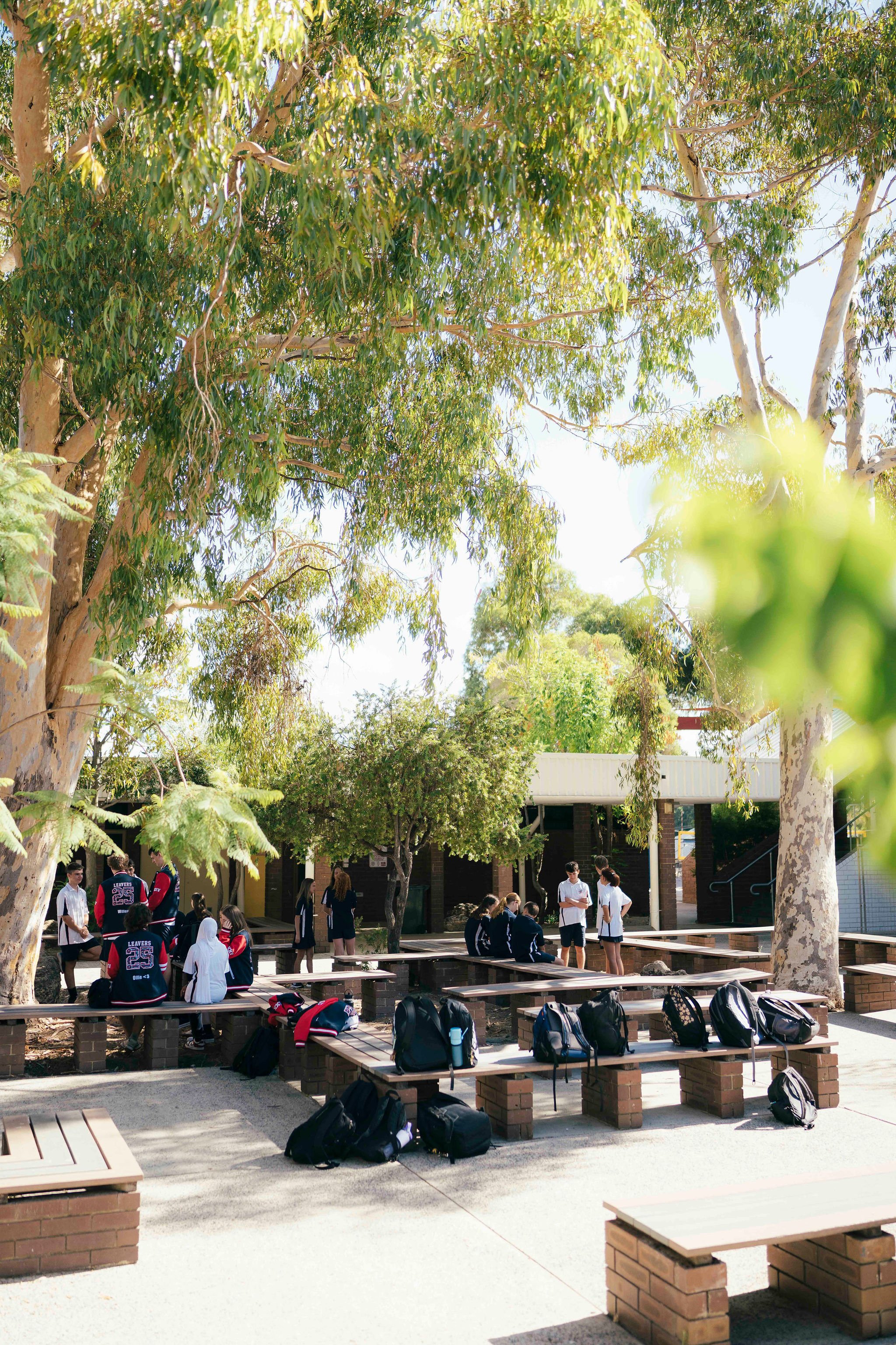 School courtyard with students gathered, surrounded by large trees and benches, backpacks placed on tables, under clear bright sky