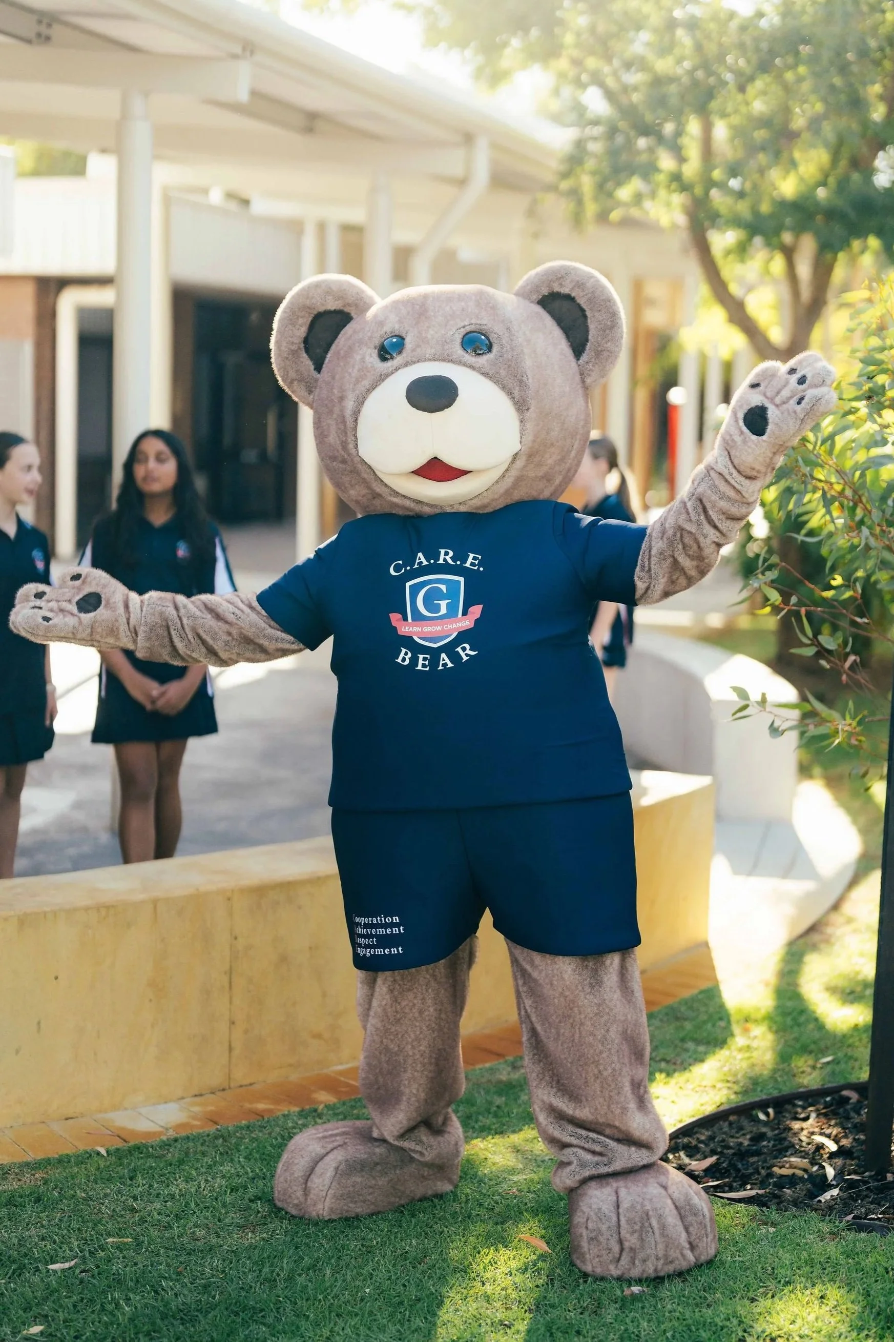 Greenwood College C.A.R.E. Bear school mascot in Western Australia