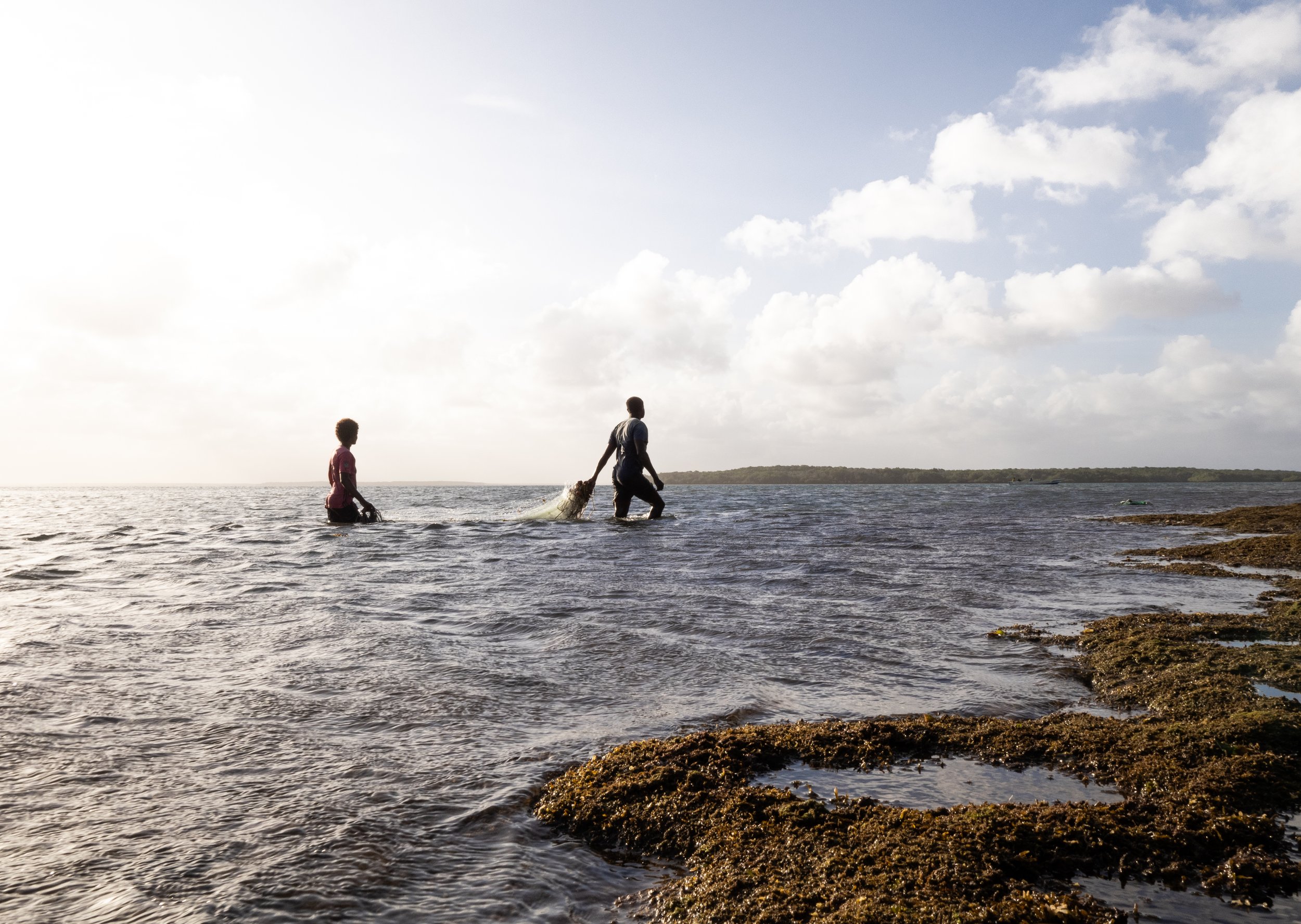 Updates From the Field on Kiwayu Island