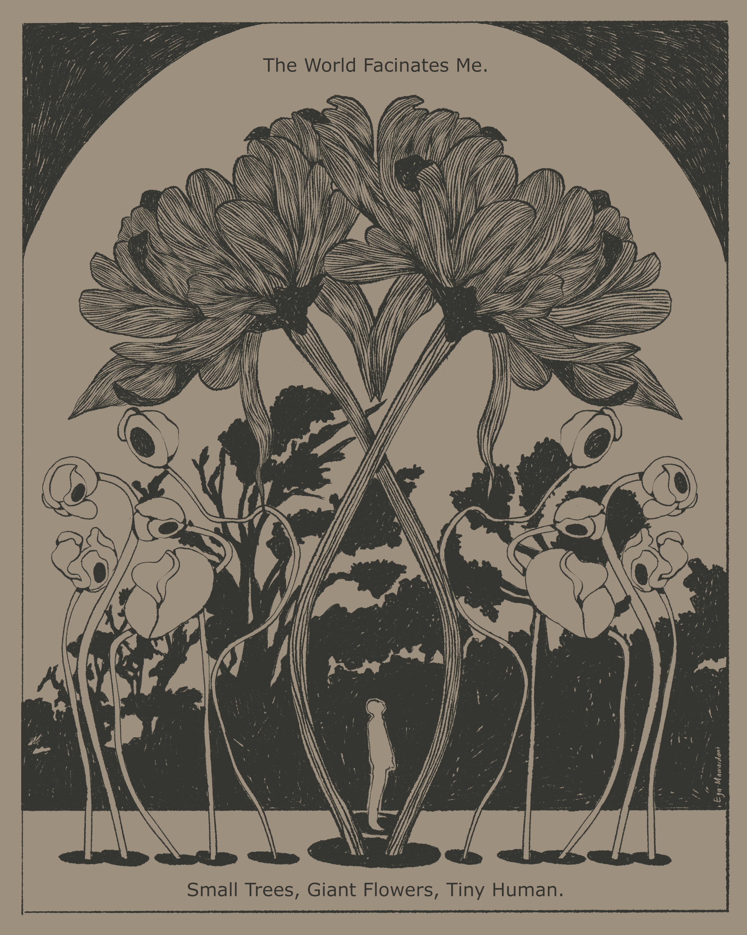 Untitled_Artwork 4.gif