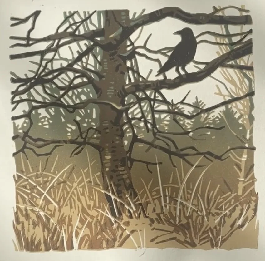 6191A41C-4D74-4FEB-B9C5-E2798DB21D5E