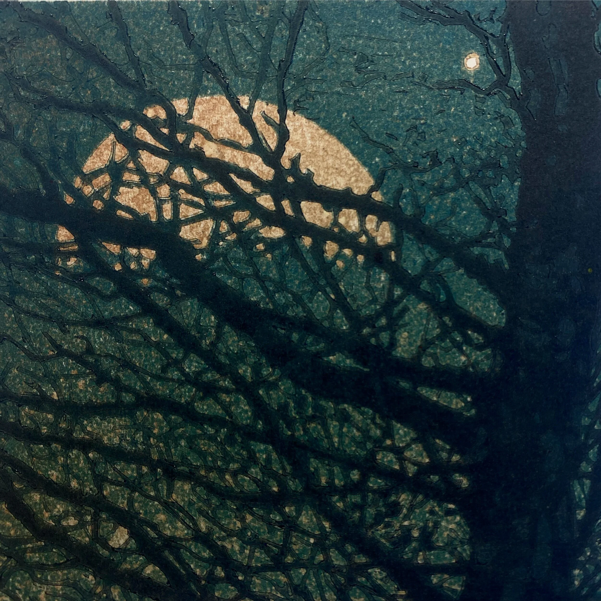 8B946C9B-6AD2-4D95-8D88-80917EDAC60A