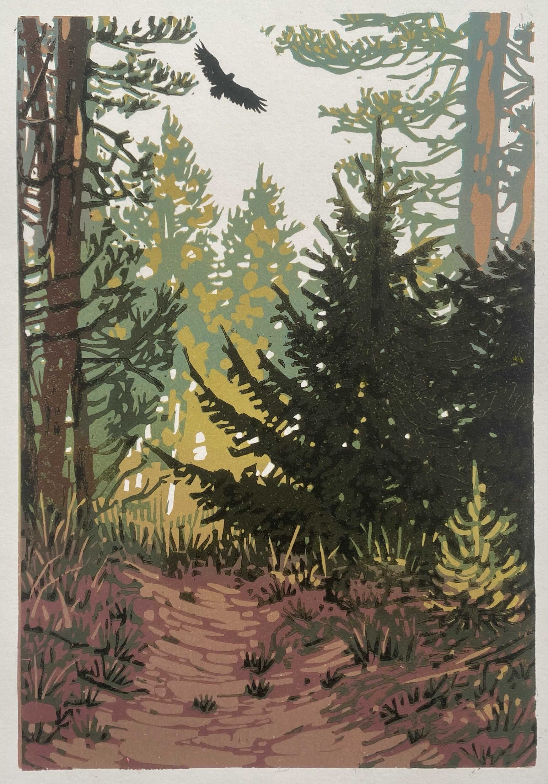 66483ED7-4596-4107-B296-E9934942BCAF