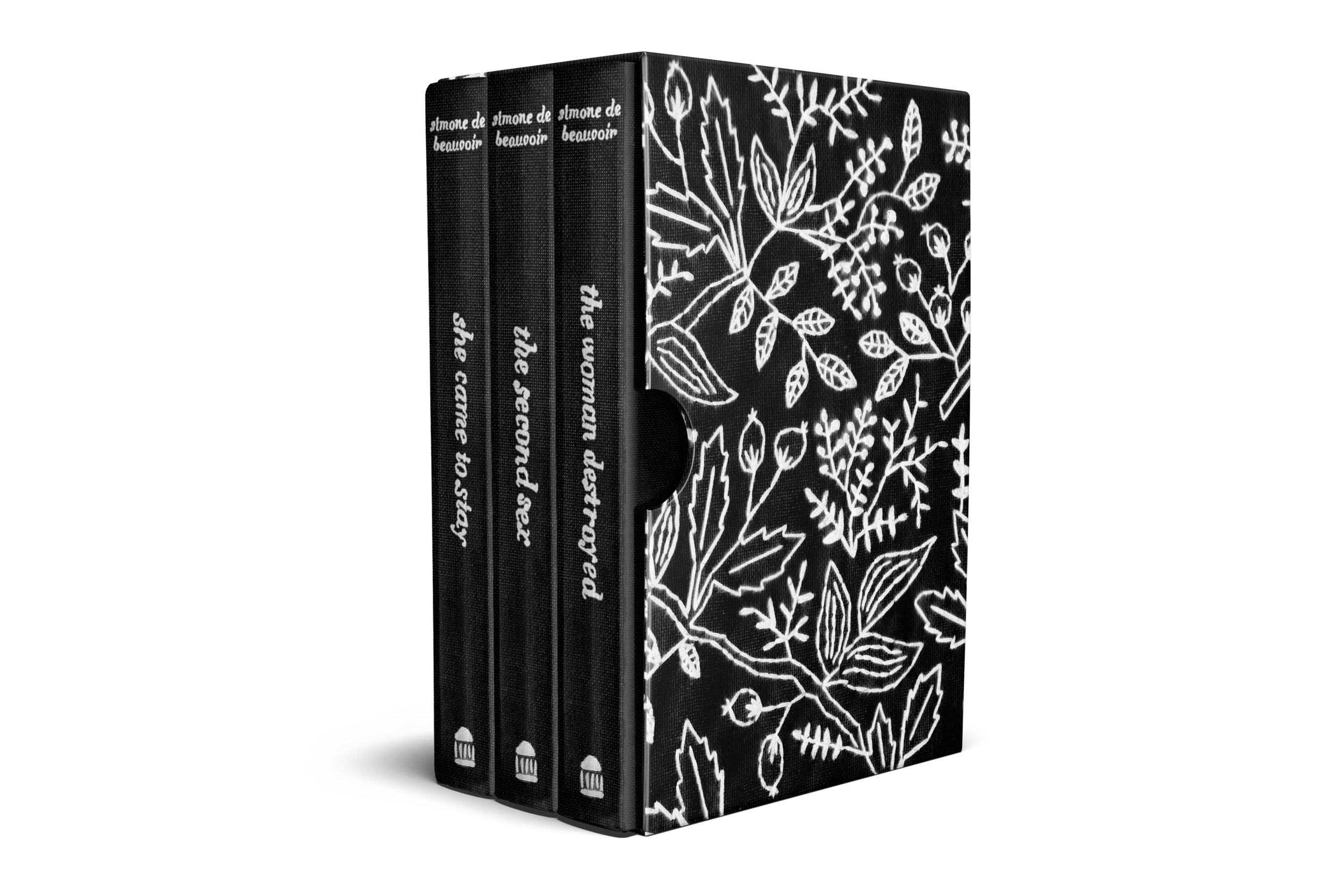 NewSlipCase.png