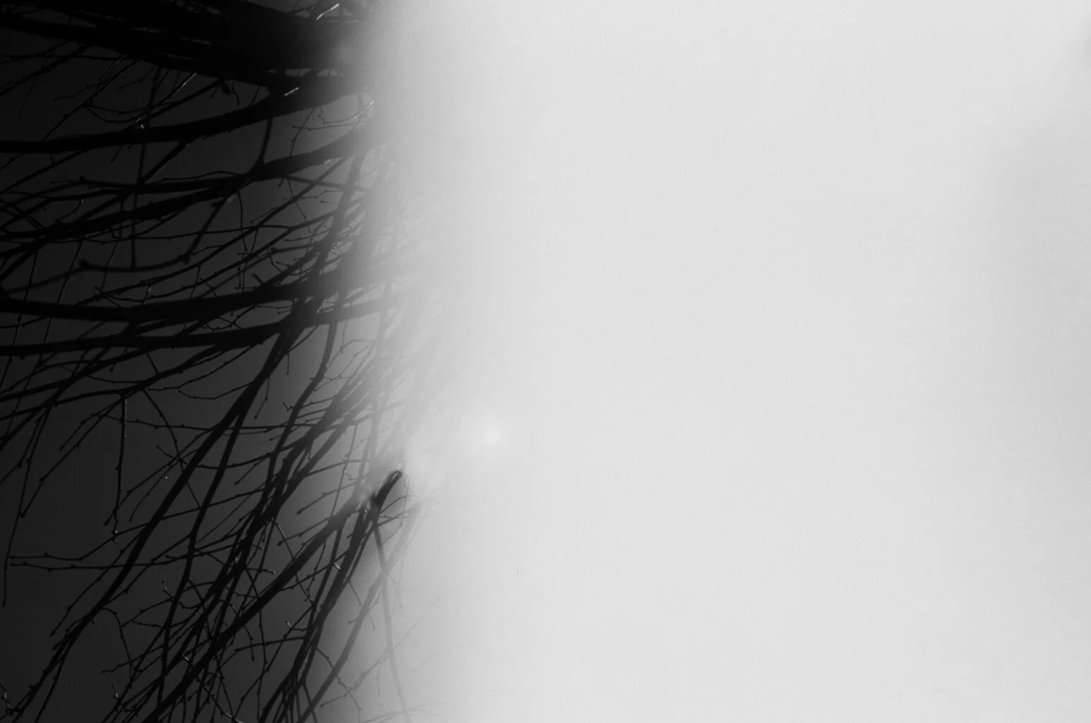 51670035.JPG