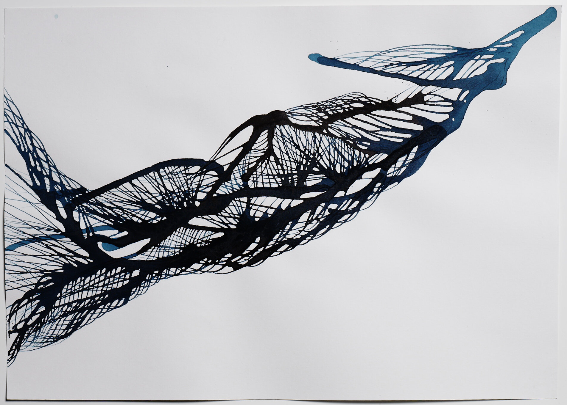 Loren Platt13830 1.jpg