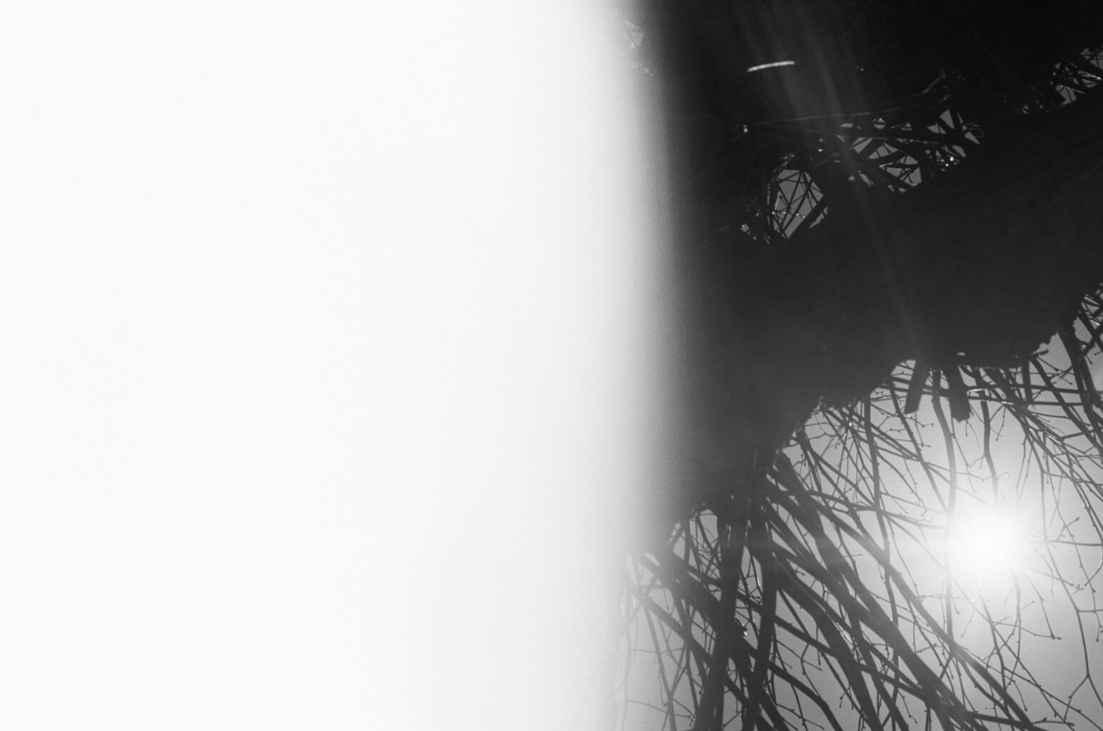 51670036.JPG