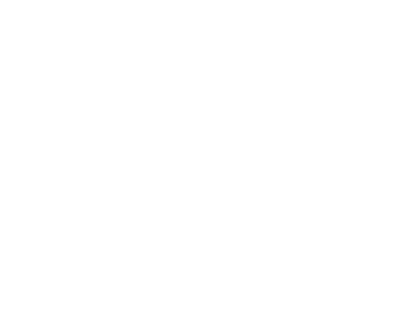 Logo Virginie Lesage