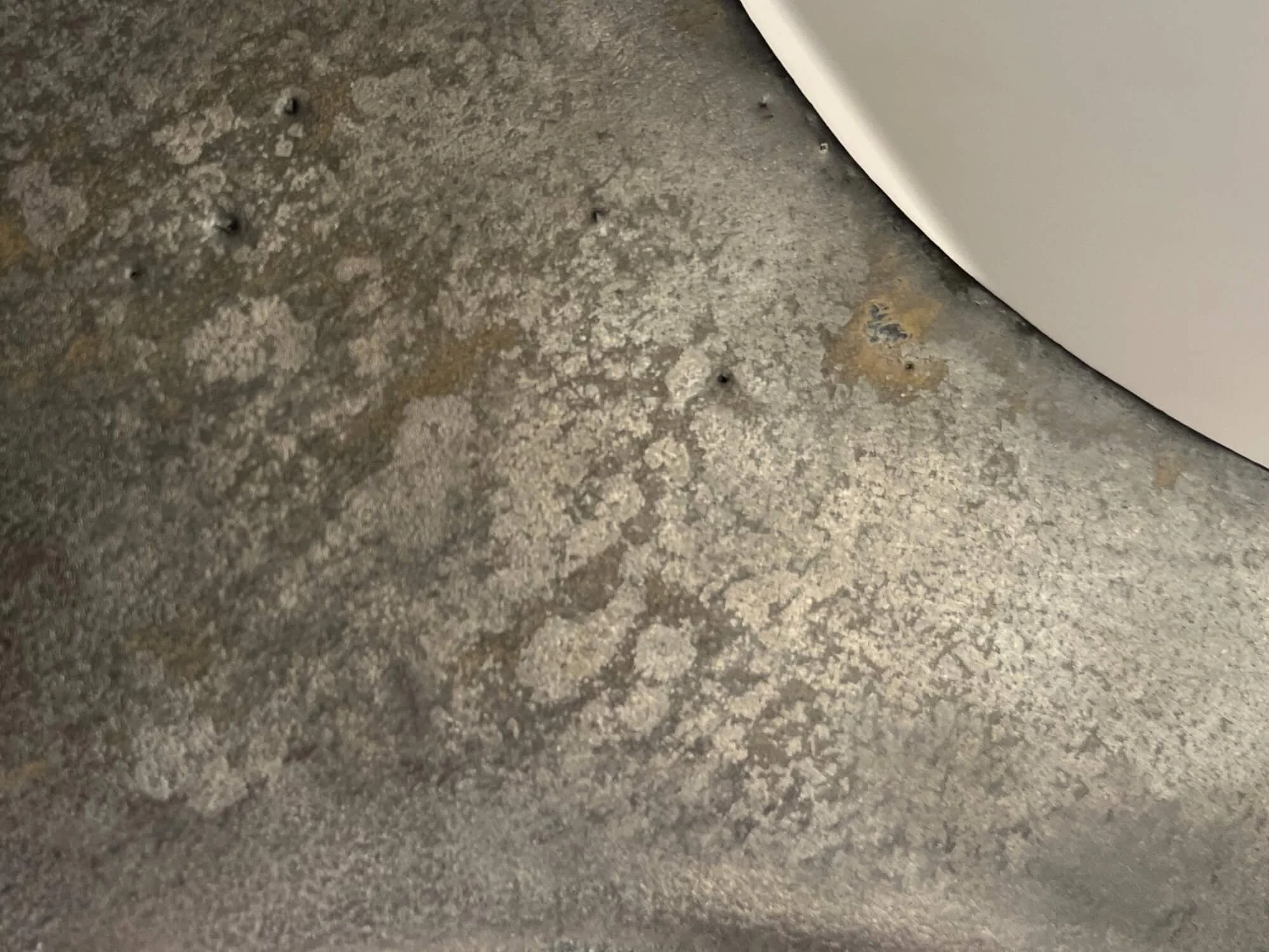 La Victoire | Claudia Cauville - détail 3