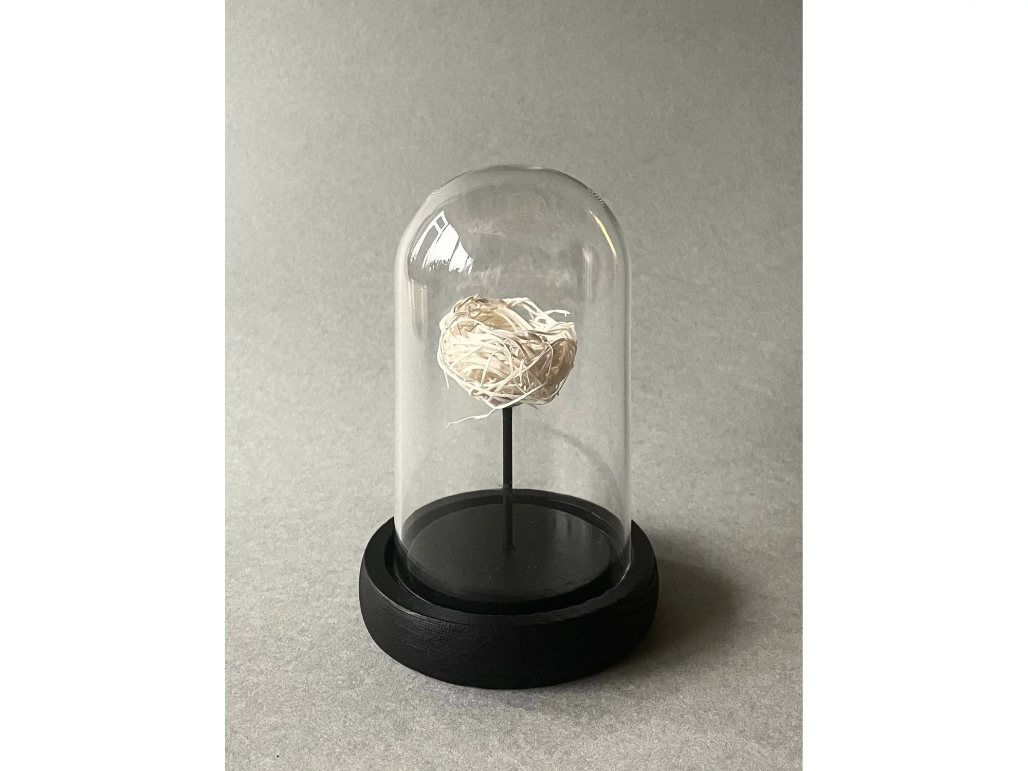 Nid #5 | Antonin Anzil