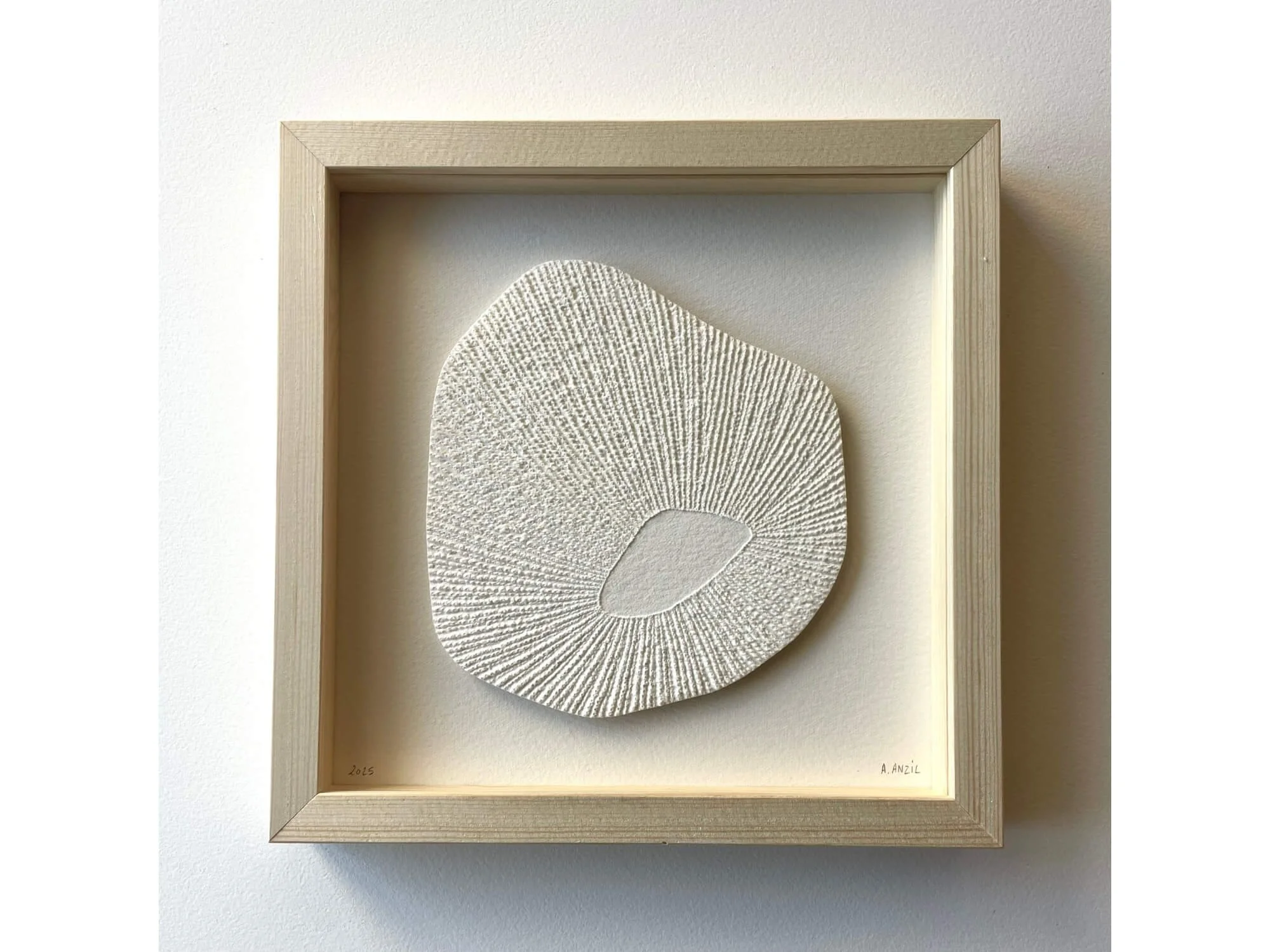 Oursin - blanc | Antonin Anzil