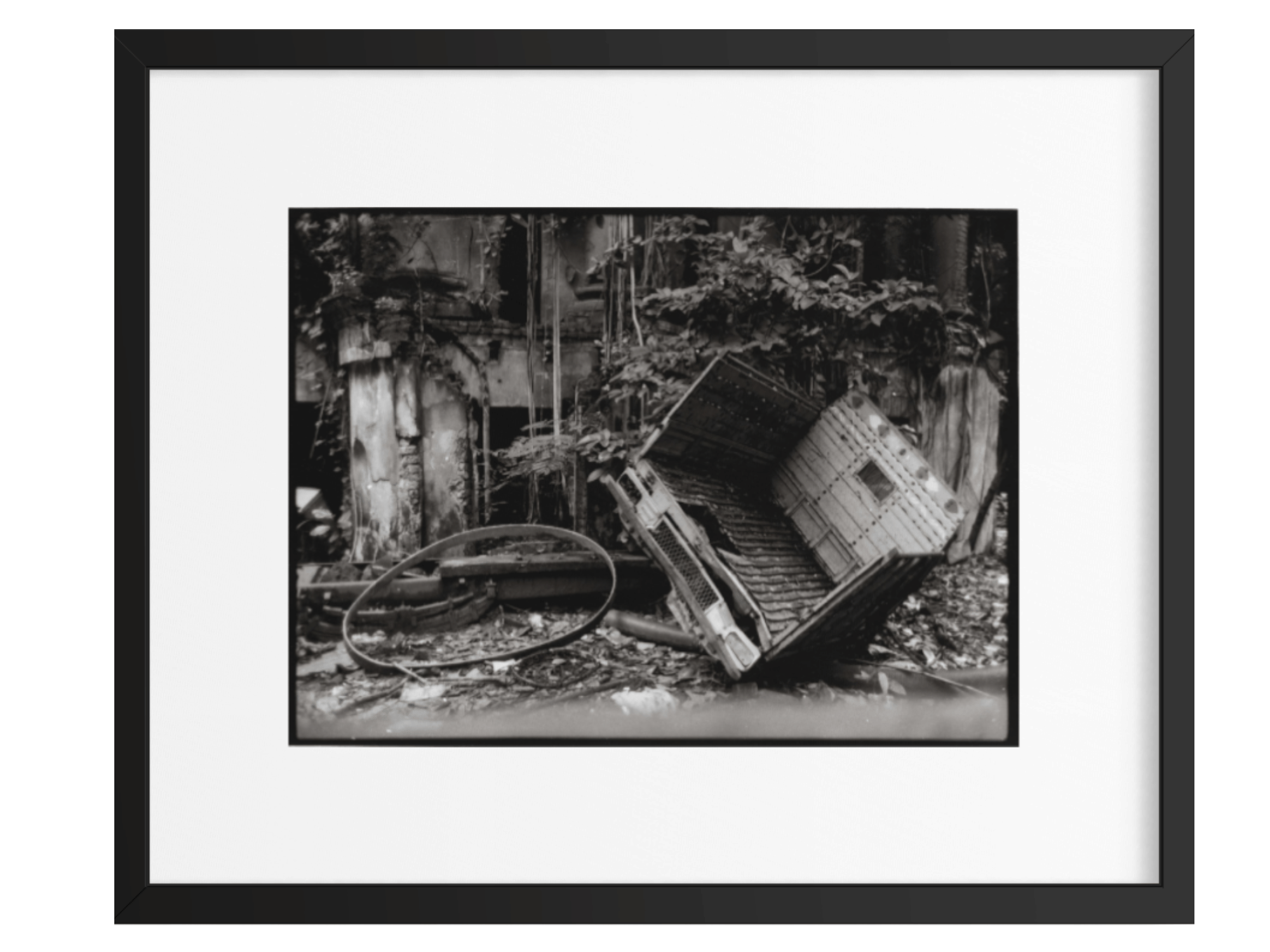 Le cercle de la demeure | Dana Farzanehpour