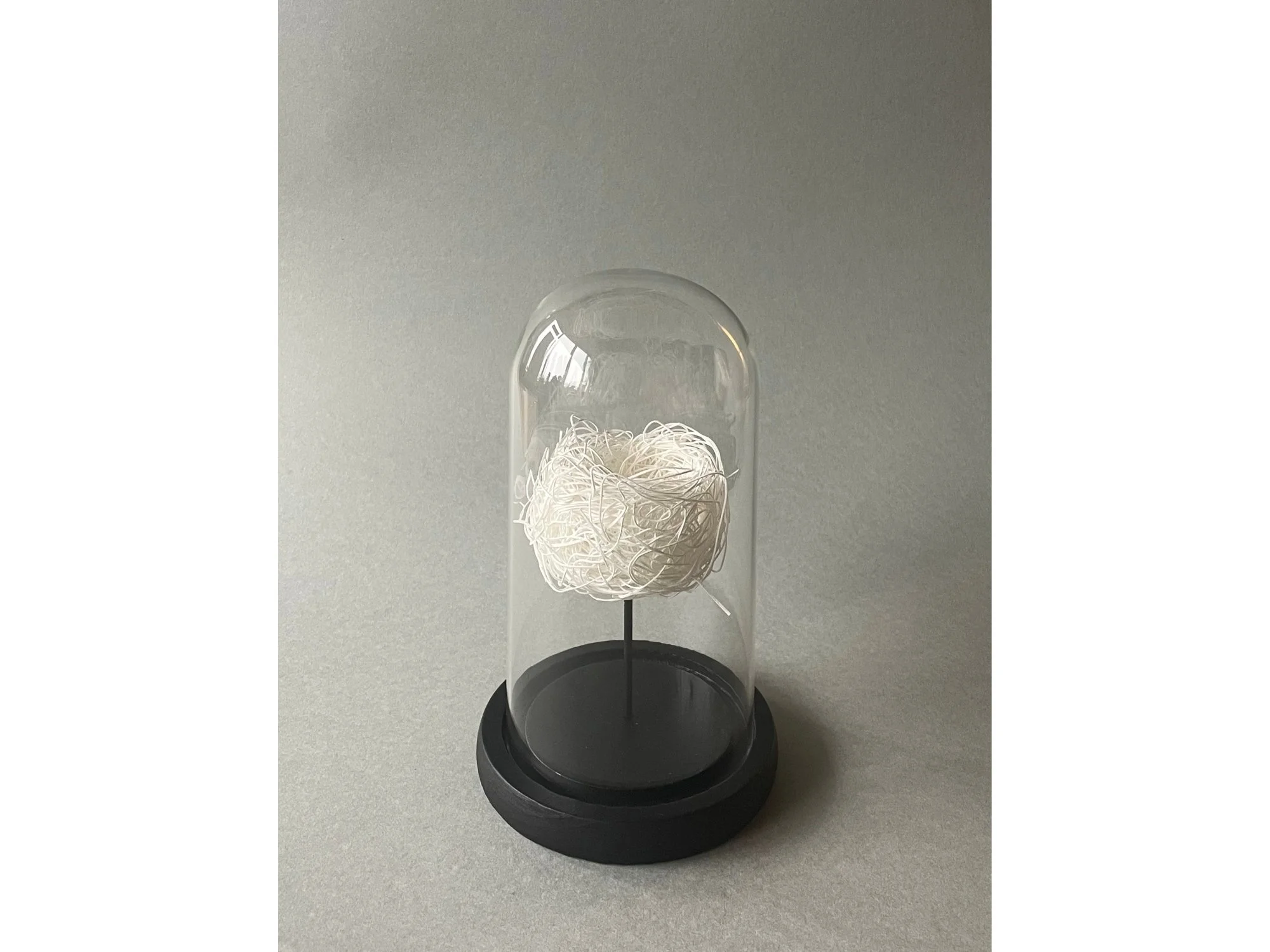 Nid #1 | Antonin Anzil