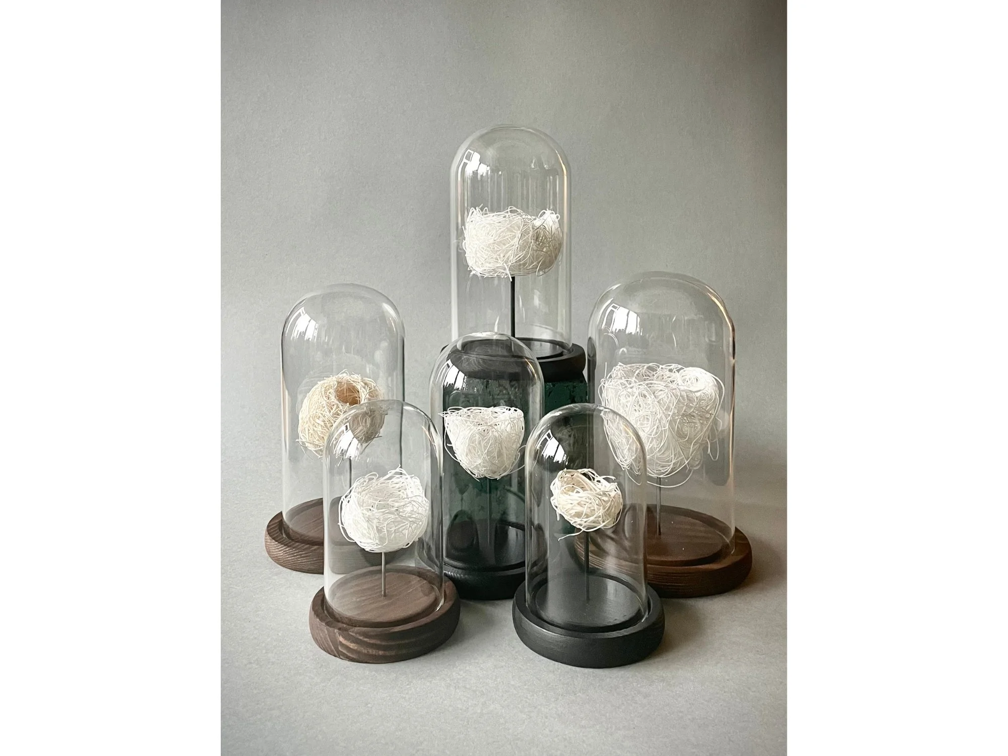 Nid #6 | Antonin Anzil - compo 2