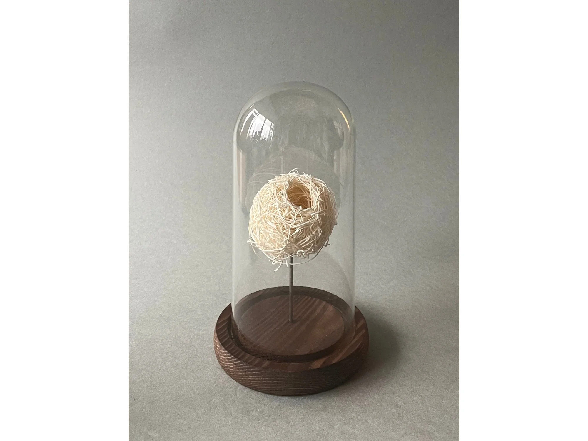 Nid #2 | Antonin Anzil