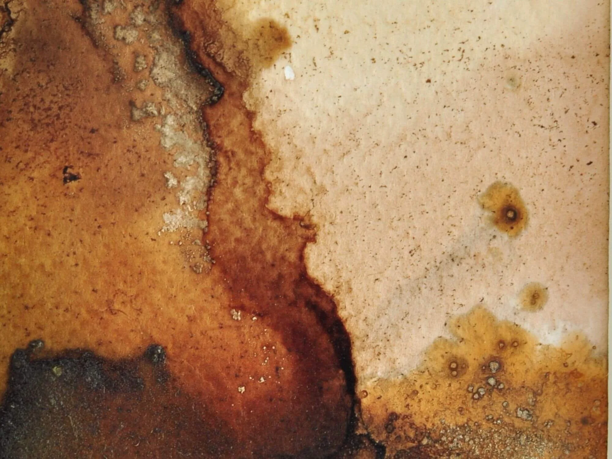 Amber Currents | Sandrina Rocha - détail 2