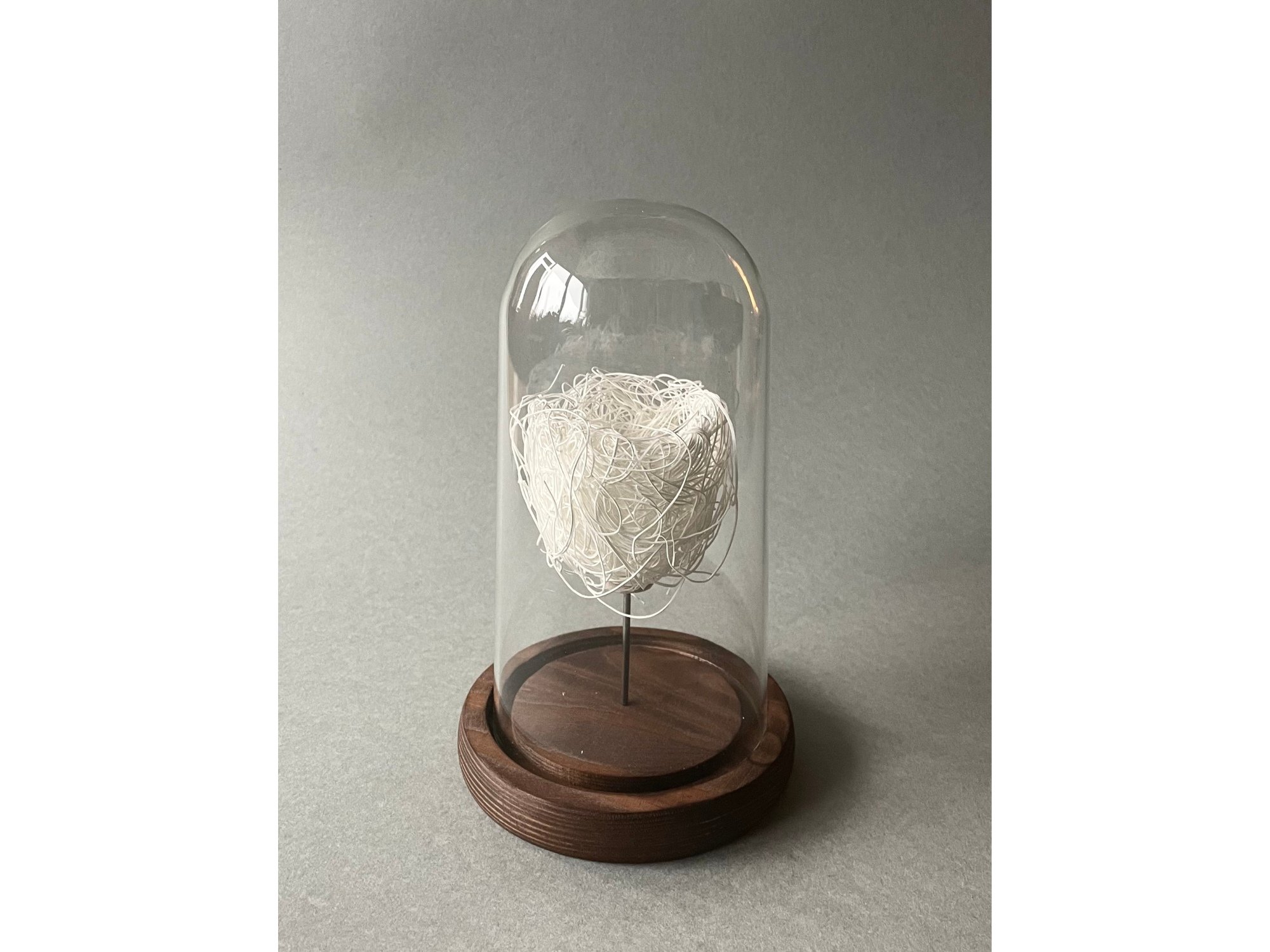 Design sans titre (31).jpg