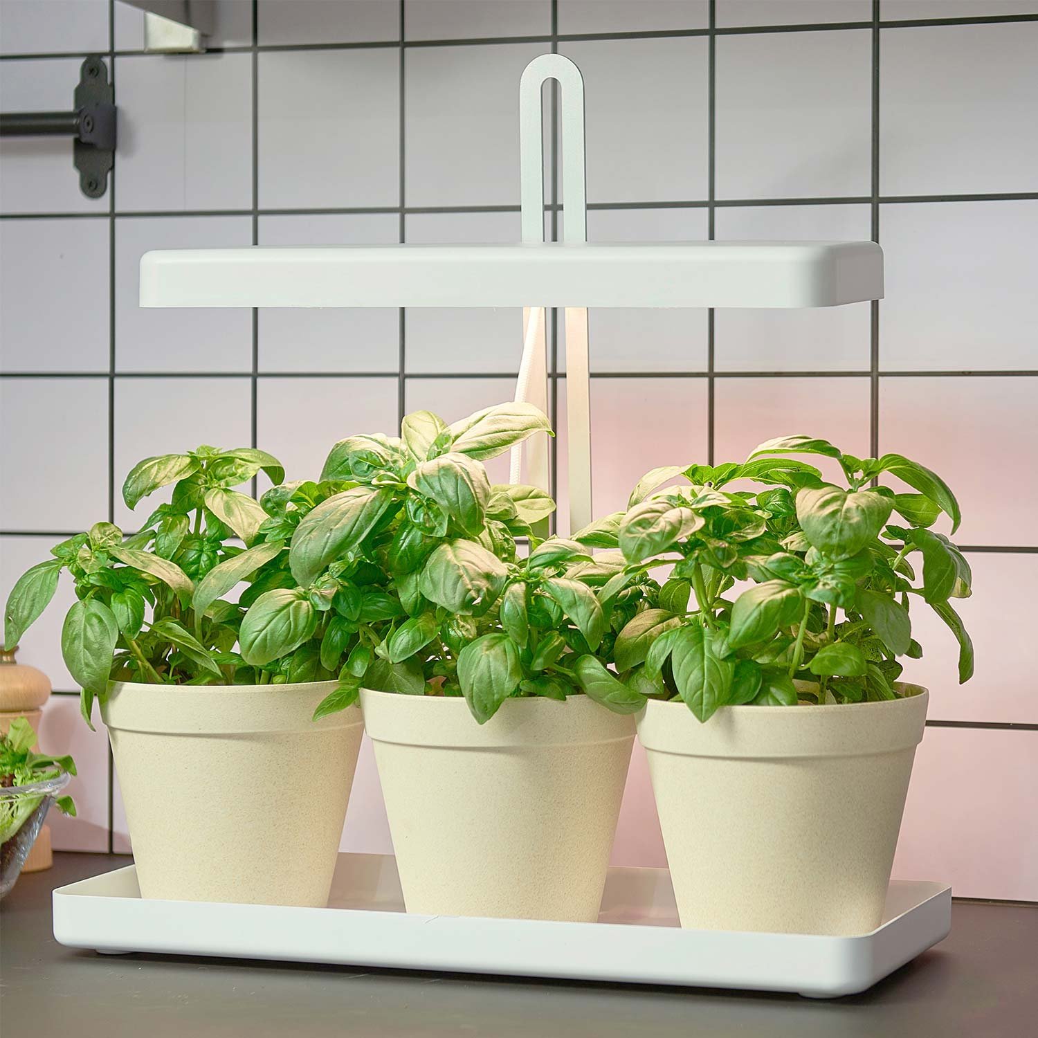 gardeners kitchen.jpg