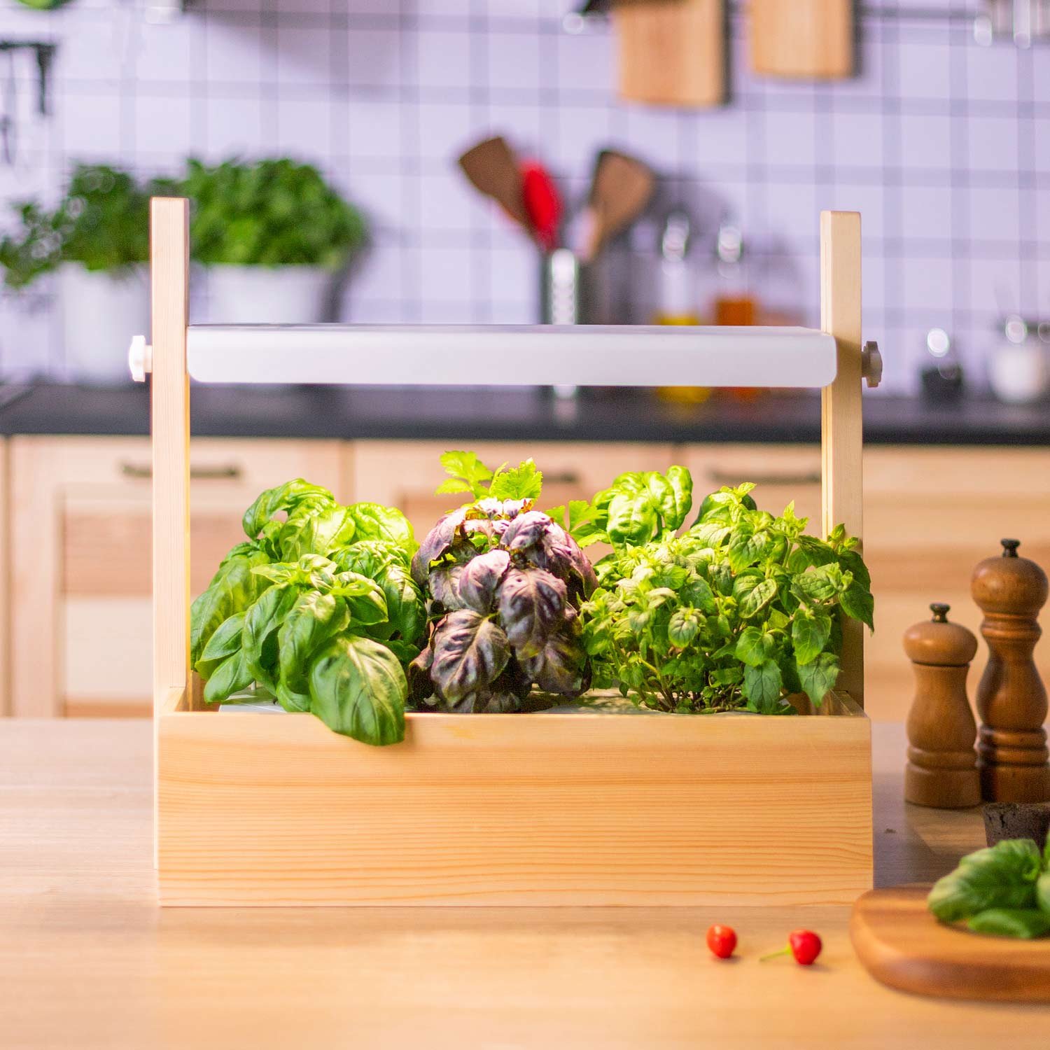 indoor herb garden.jpg