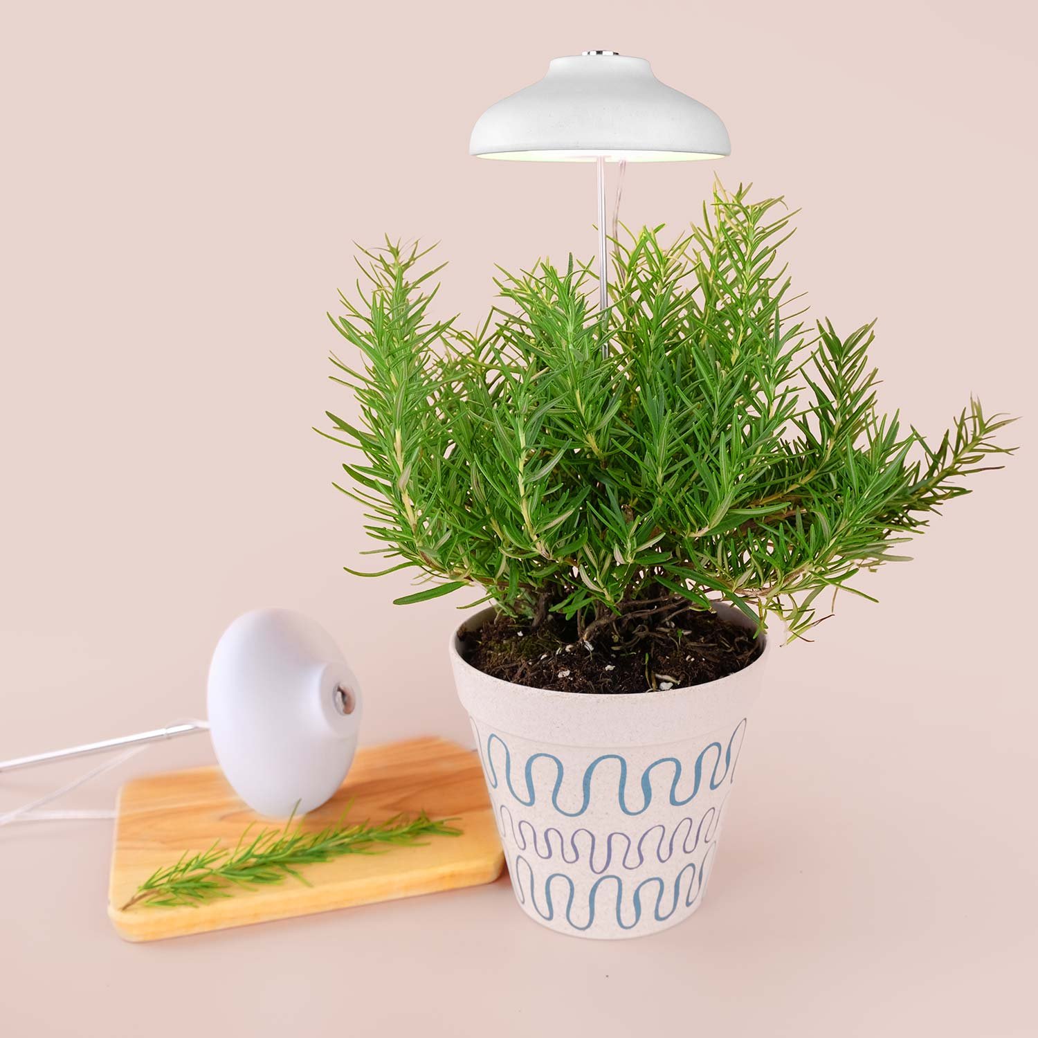 inside herb garden kit factory.jpg