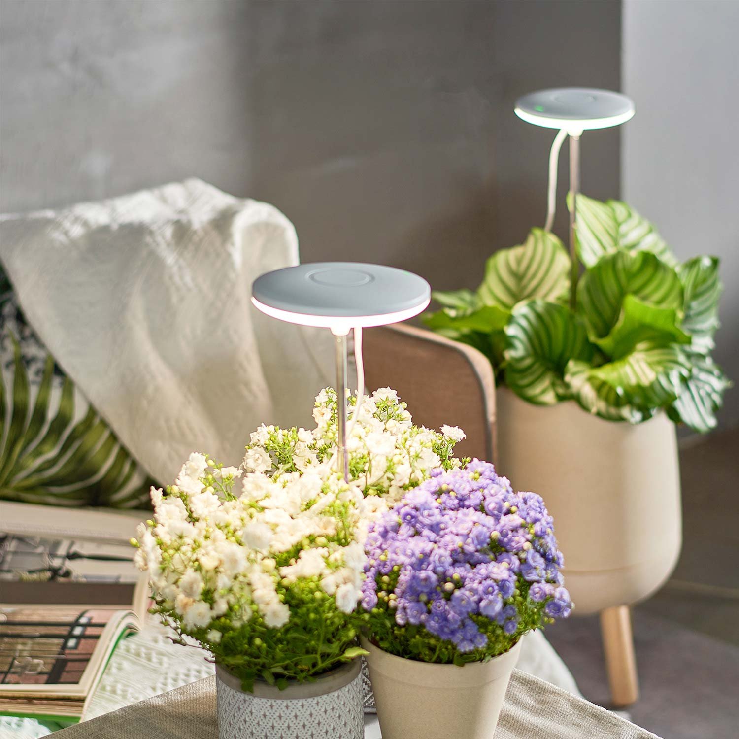 plant grow lights indoor factory.jpg