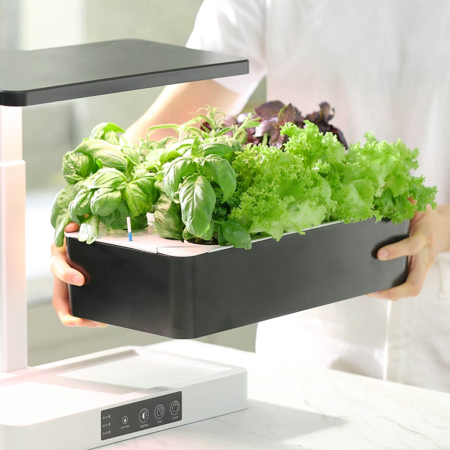 smart garden supplier.jpg