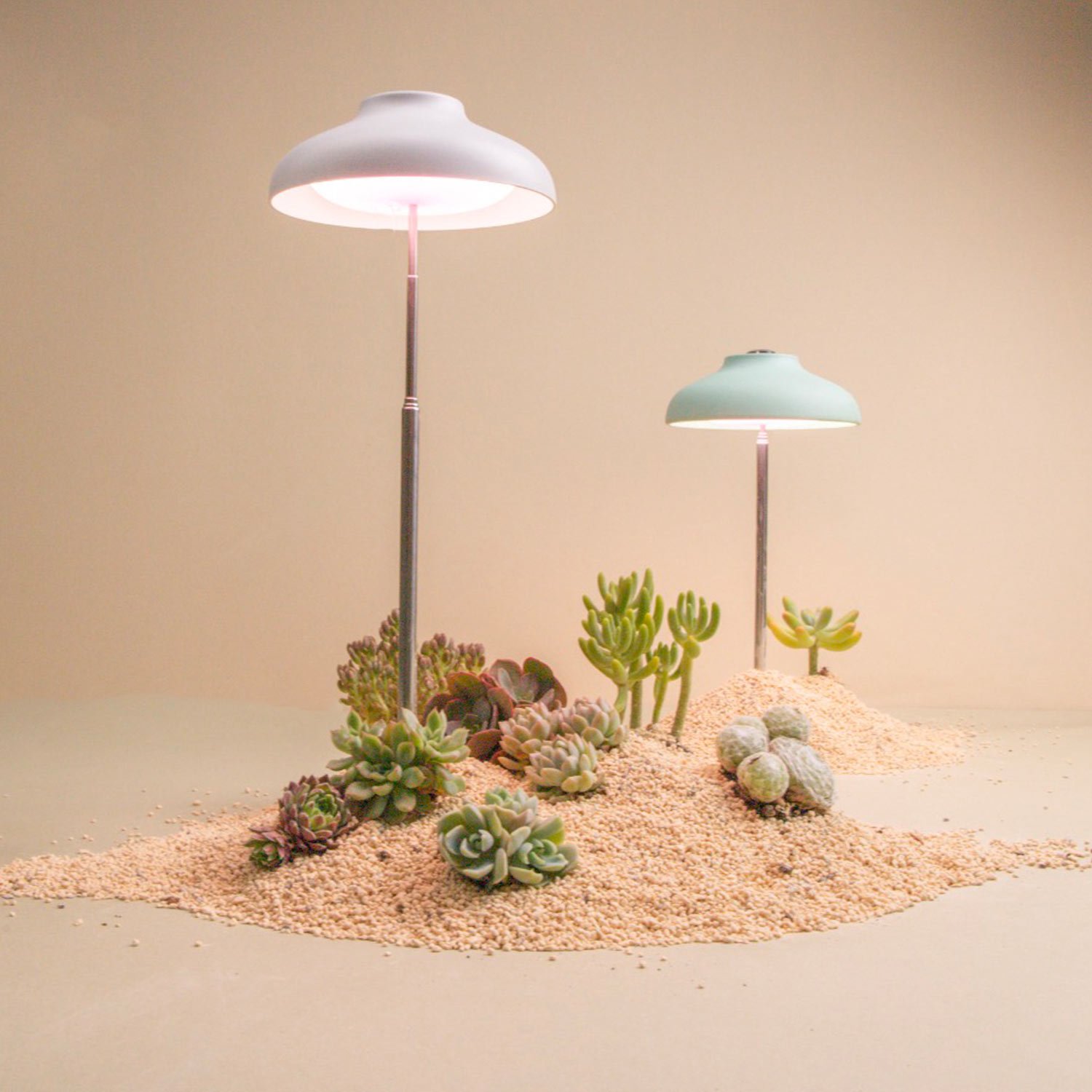 microgreen grow lights supplier.jpg