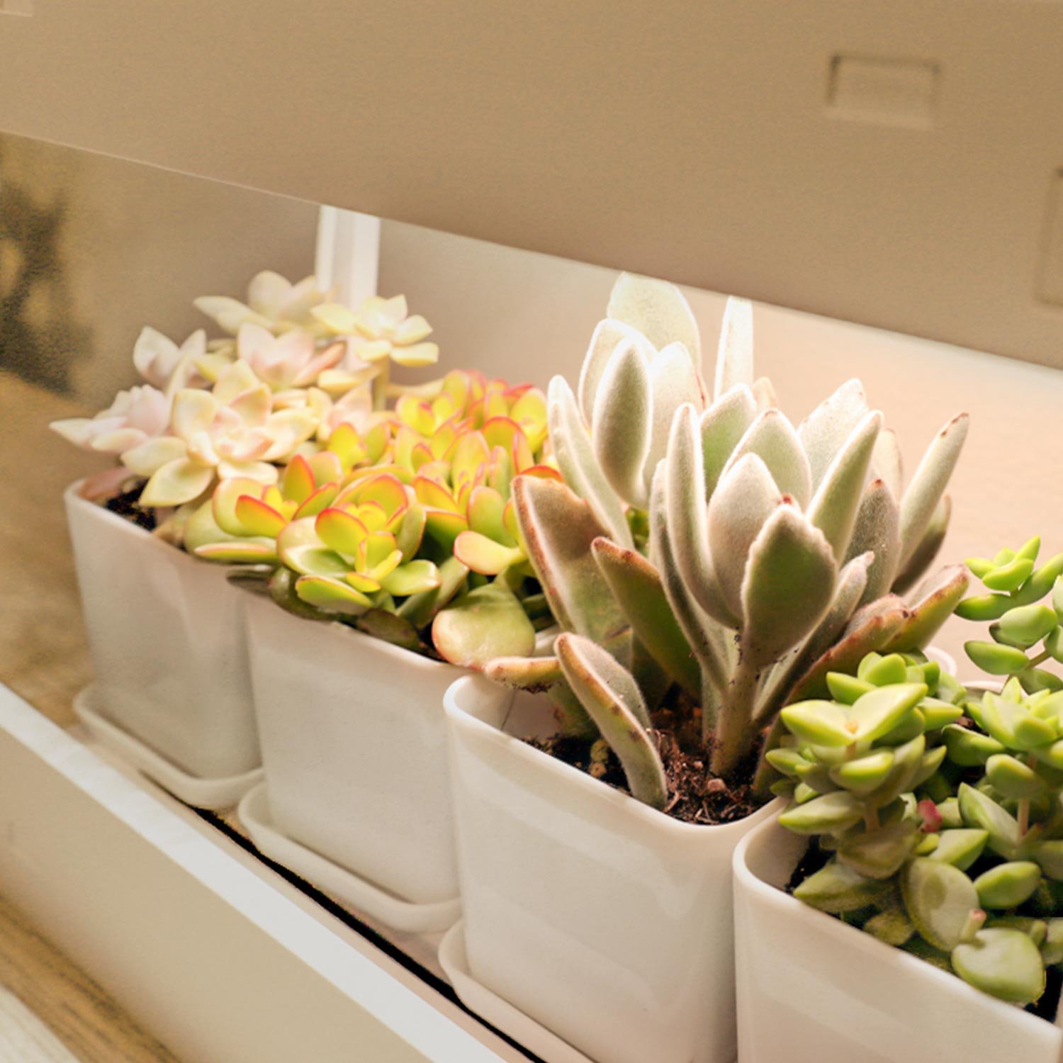 led herb garden OEM.jpg