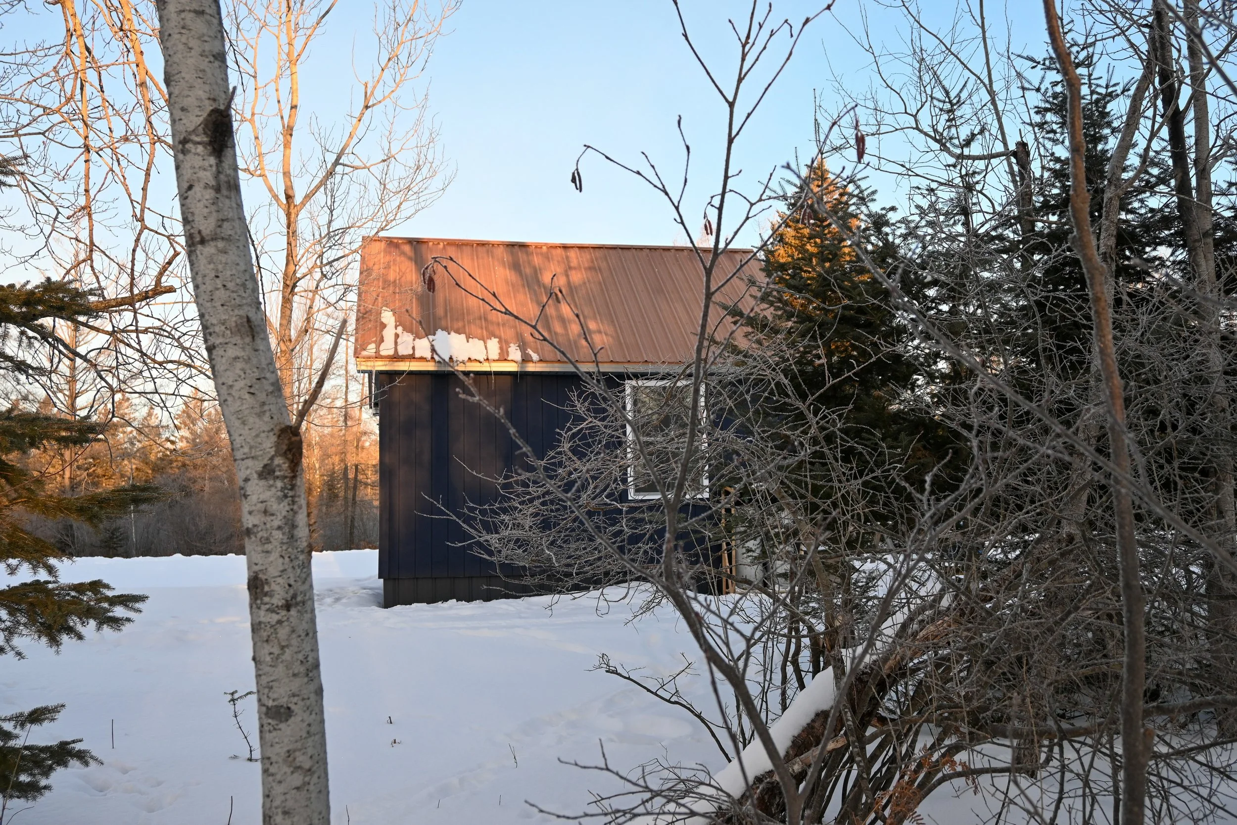 DSC_0082.jpg