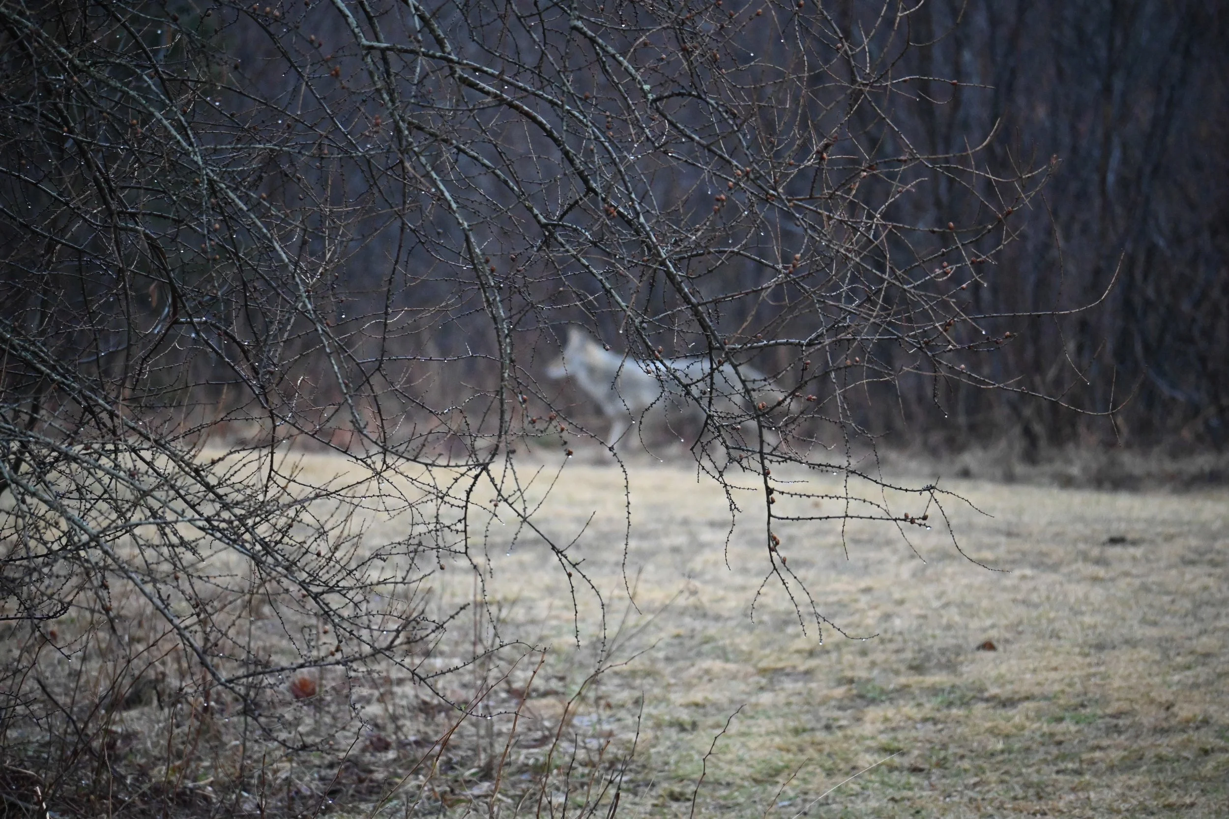 DSC_0391.jpg