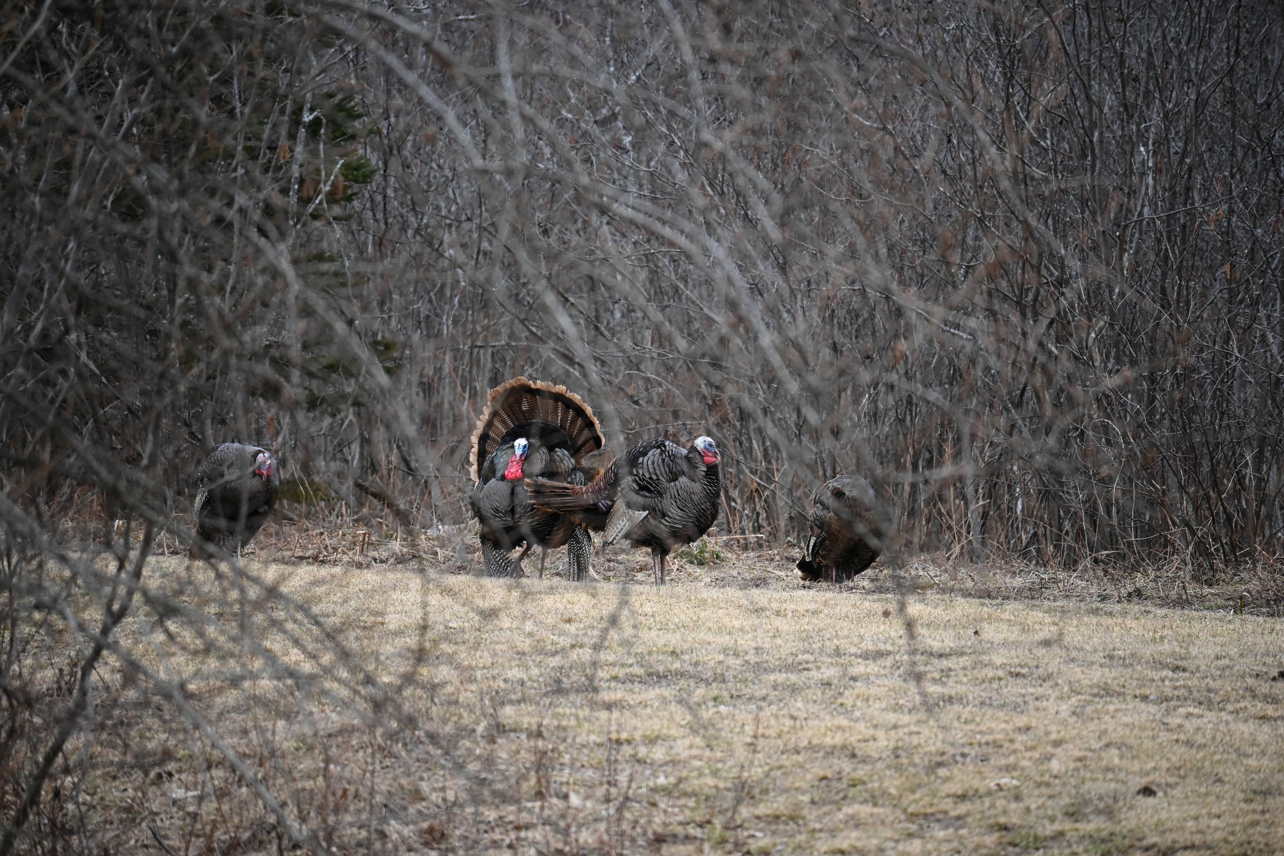 DSC_0324.jpg
