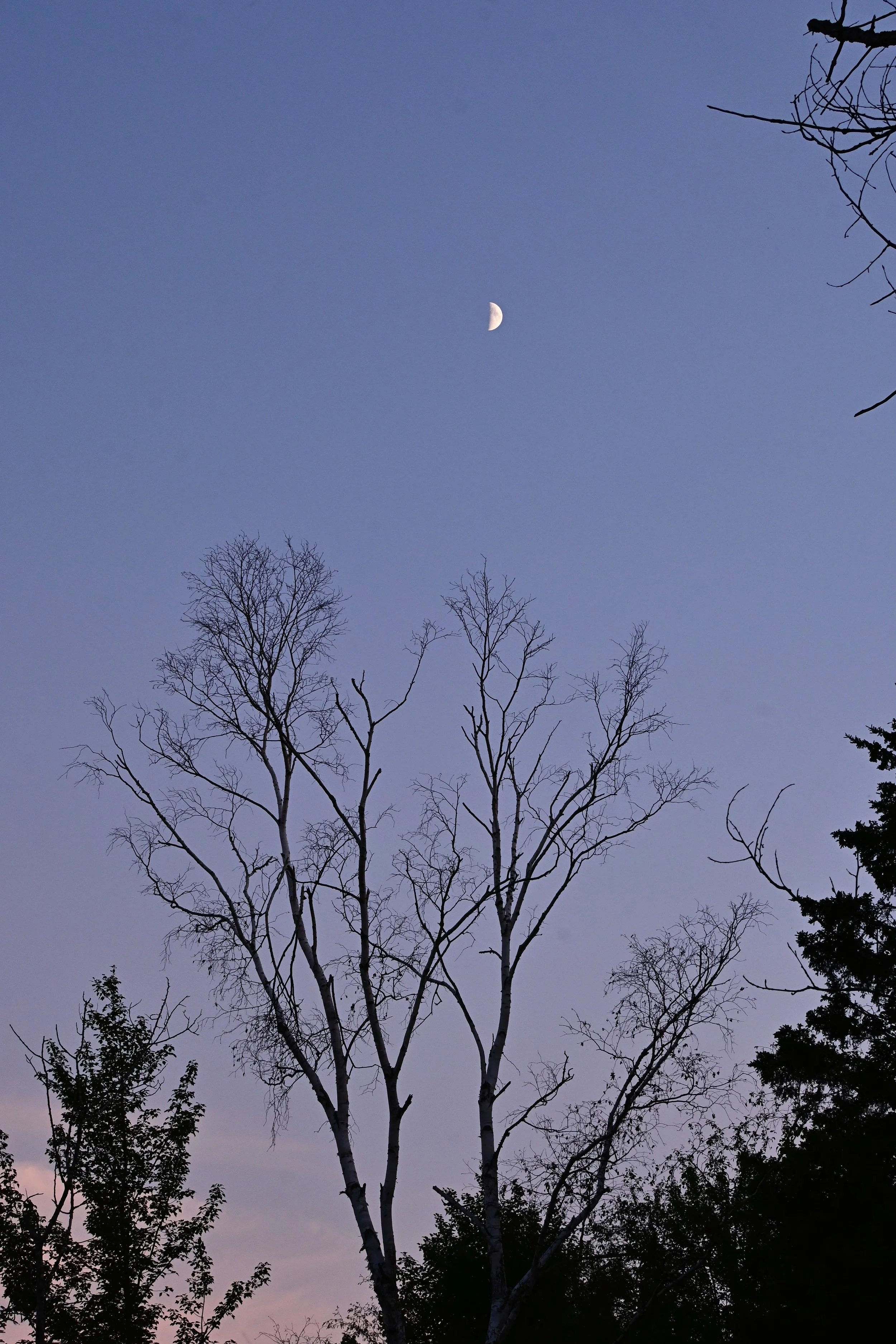 DSC_4209.jpg