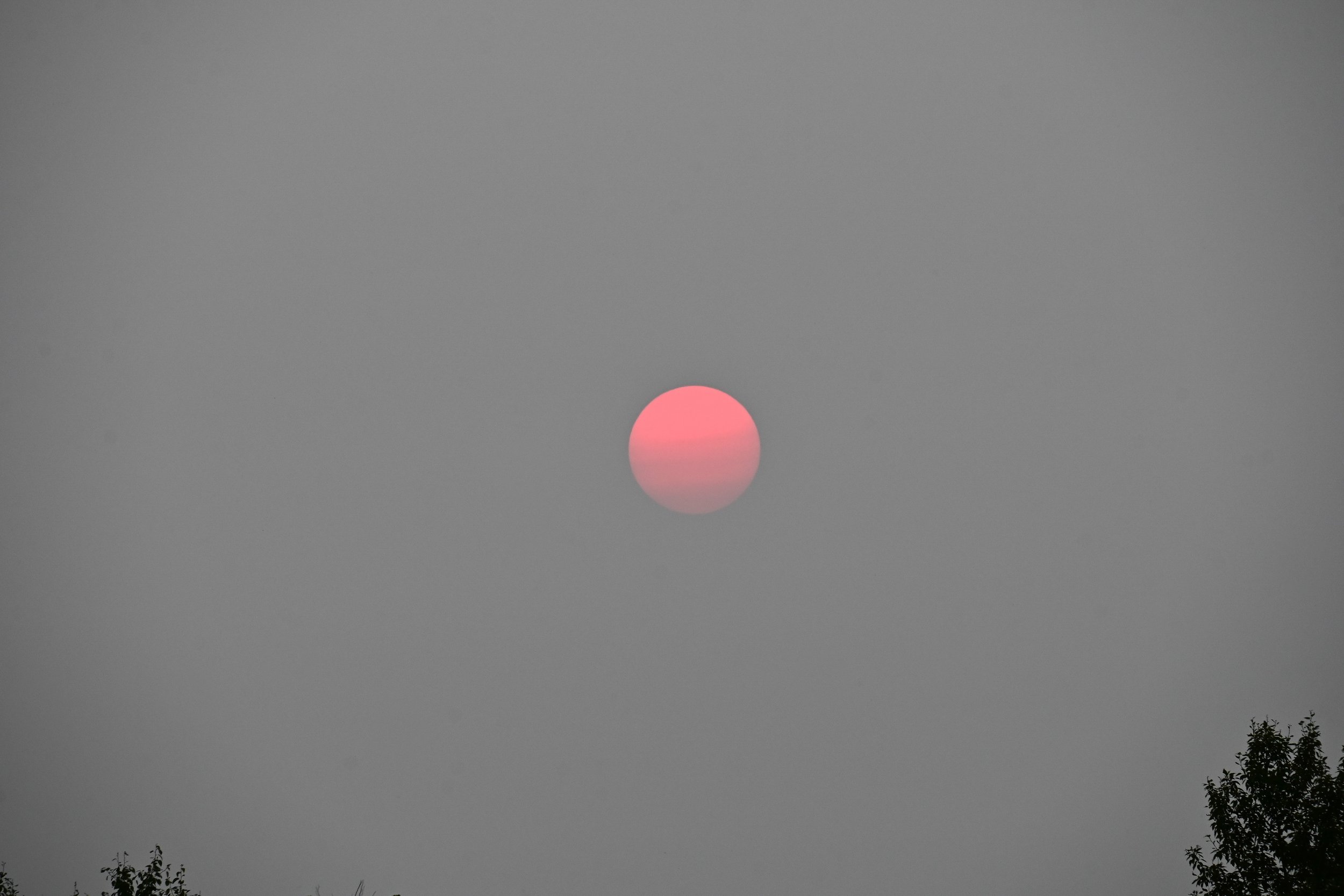 DSC_4223.jpg