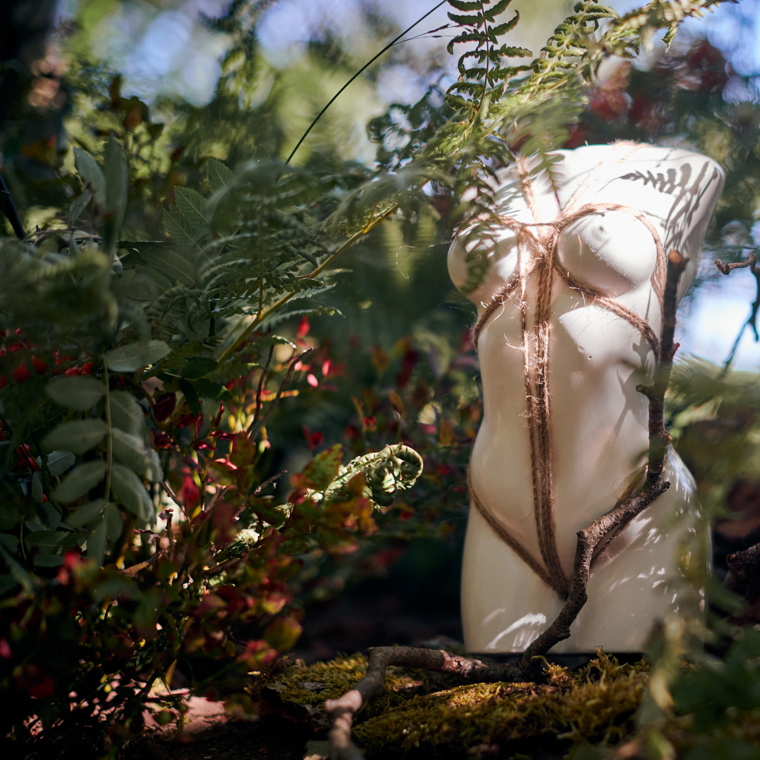 A Story on nudity and bondage