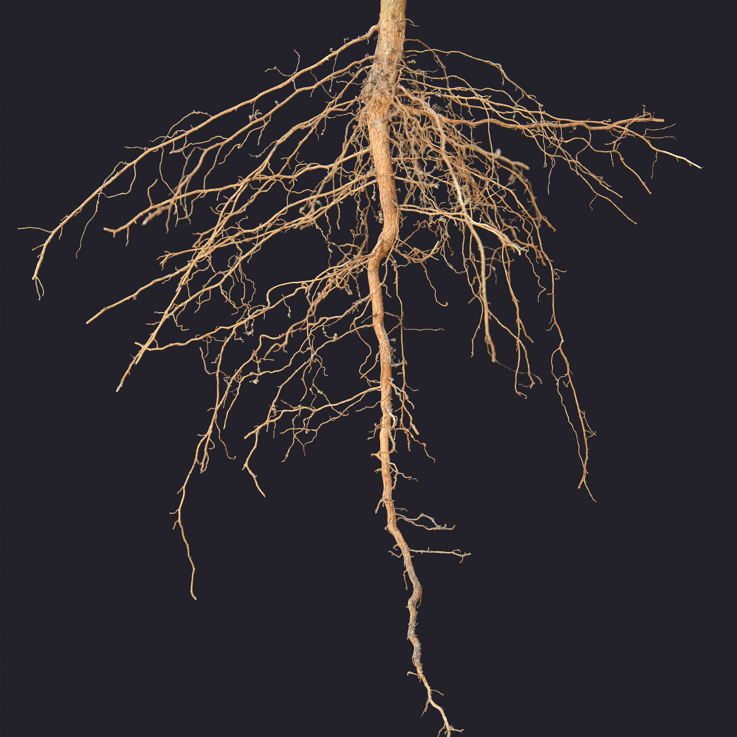 How it’s all connected