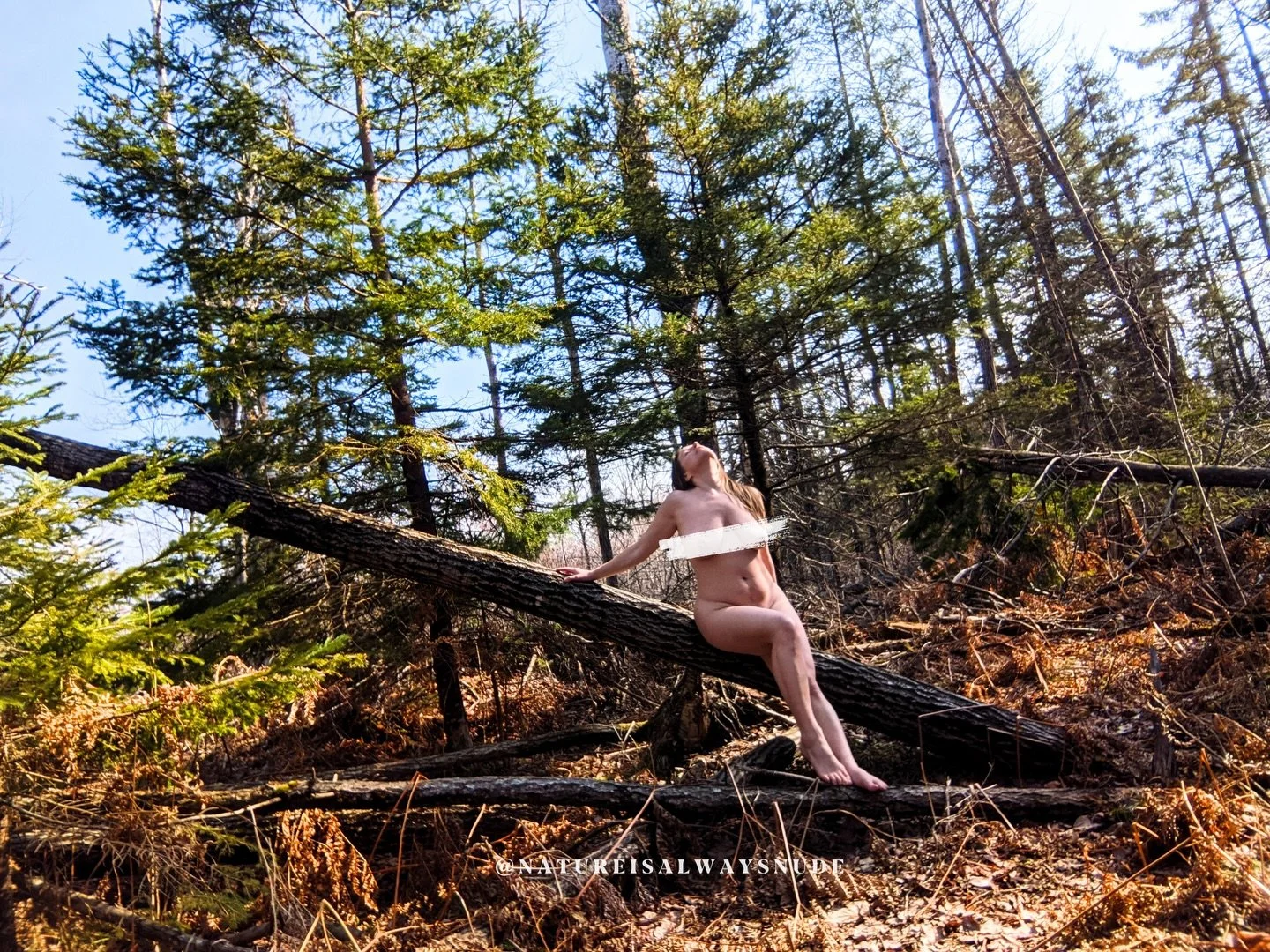 The snow is melting. The birds are returning. And the Yang of life is rising. 

Spring is Yang rising. The transmutation from deepest Yin of winter. She is a delicate and harsh dance from what was into what&rsquo;s becoming. 

Stay here with me as we