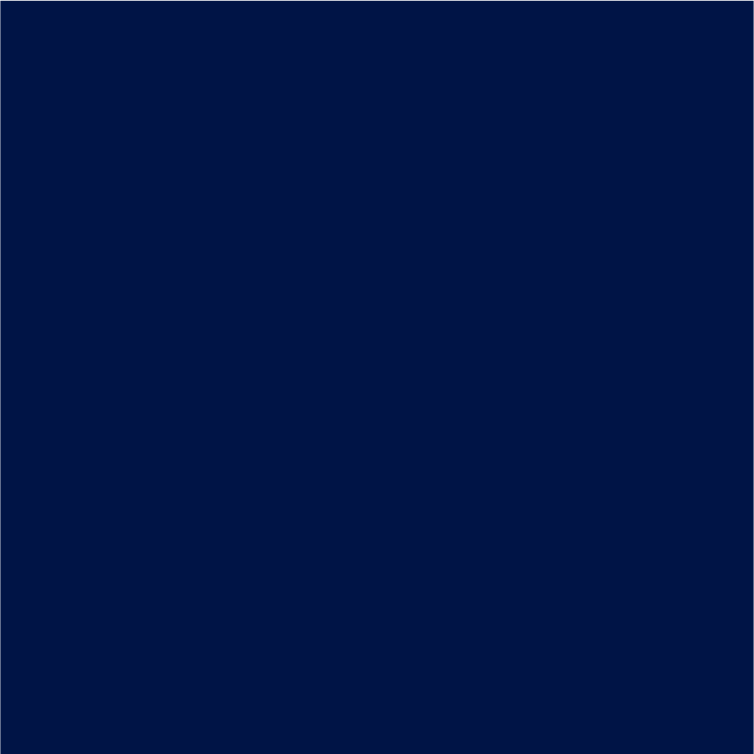 Blue Screen: #001446 Screen: RGB 0/20/70 Print (CMYK): C100 M90 Y40 K50  Pantone: 655 C Paint: NCS S 3560-R80B
