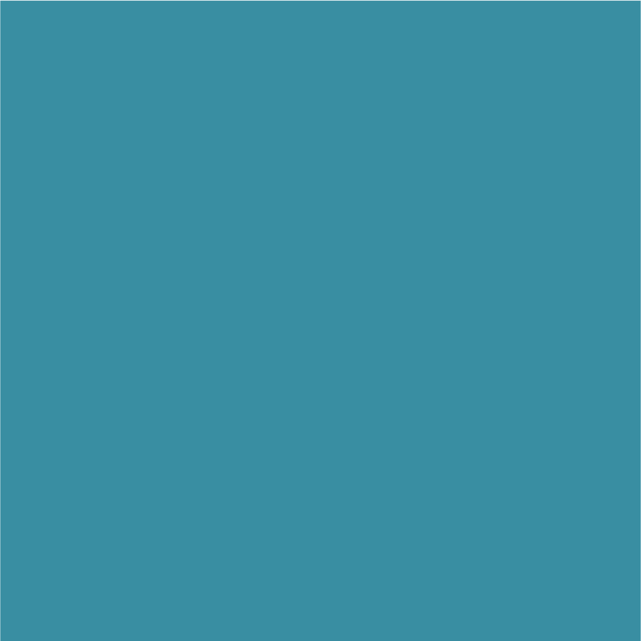 Sea Blue Screen: #398EA2 Screen: RGB 57/142/162 Print (CMYK): C77 M30 Y30 K0  Pantone: 326 C Paint: NCS S 2050-B80G