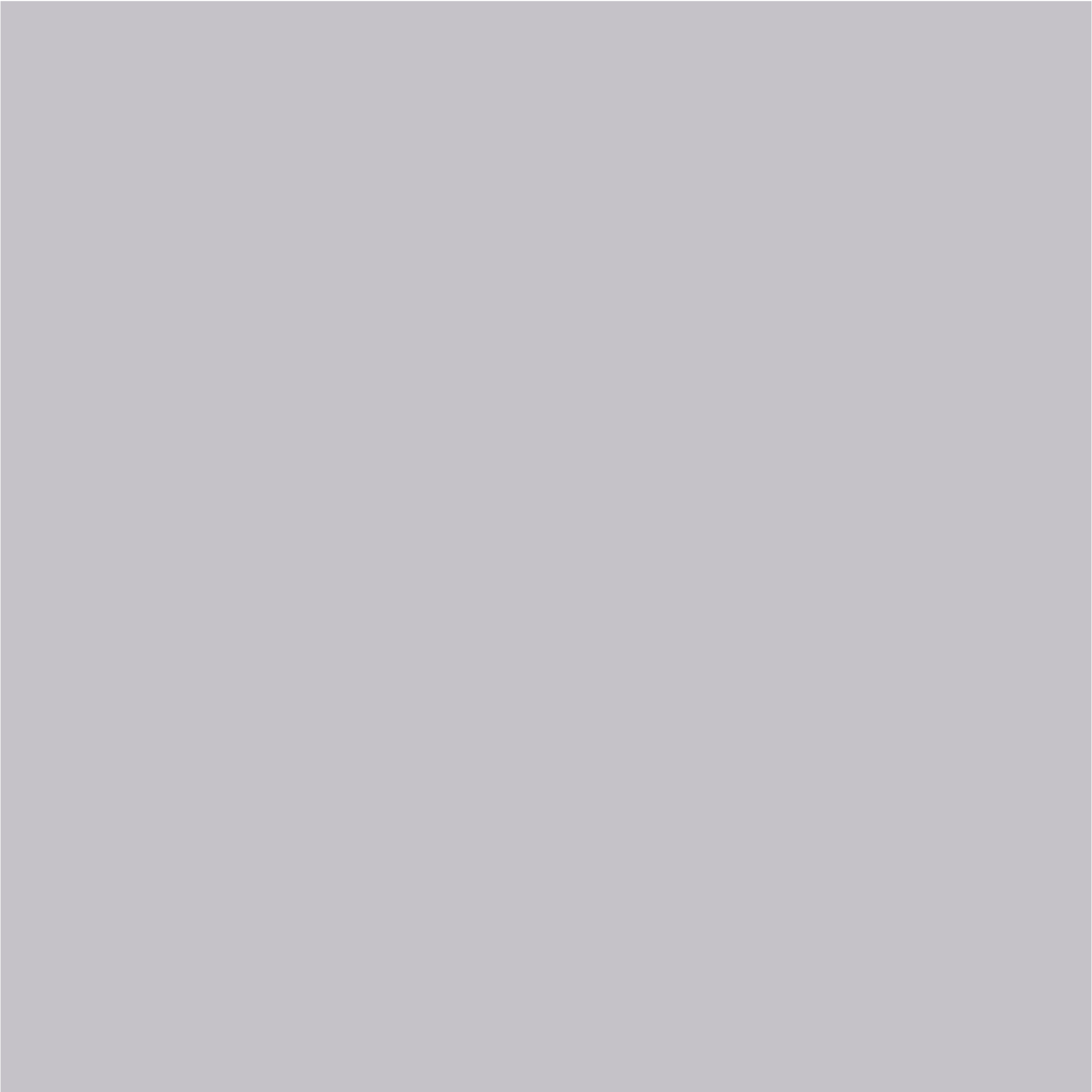 Grey 50 % Screen: #C7C2C7 Screen: RGB 200/195/200 Print (CMYK): C25 M22 Y17 K01  Pantone: 435 C Paint: NCS S 2502-R