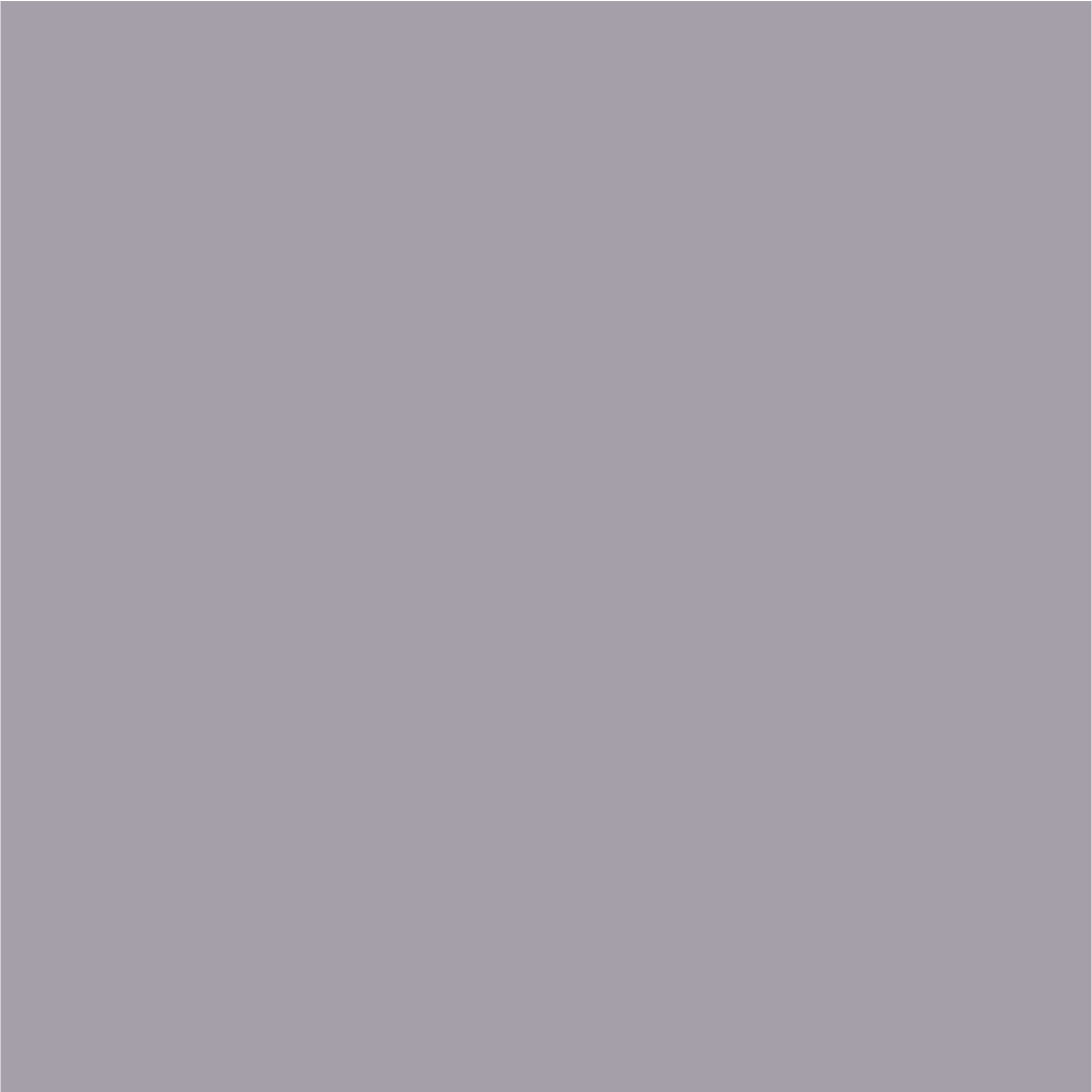 Grey Screen: #A49FA9 Screen: RGB 165/160/170 Print (CMYK): C38 M34 Y24 K06  Pantone: 436 C Paint: NCS S 3502-R
