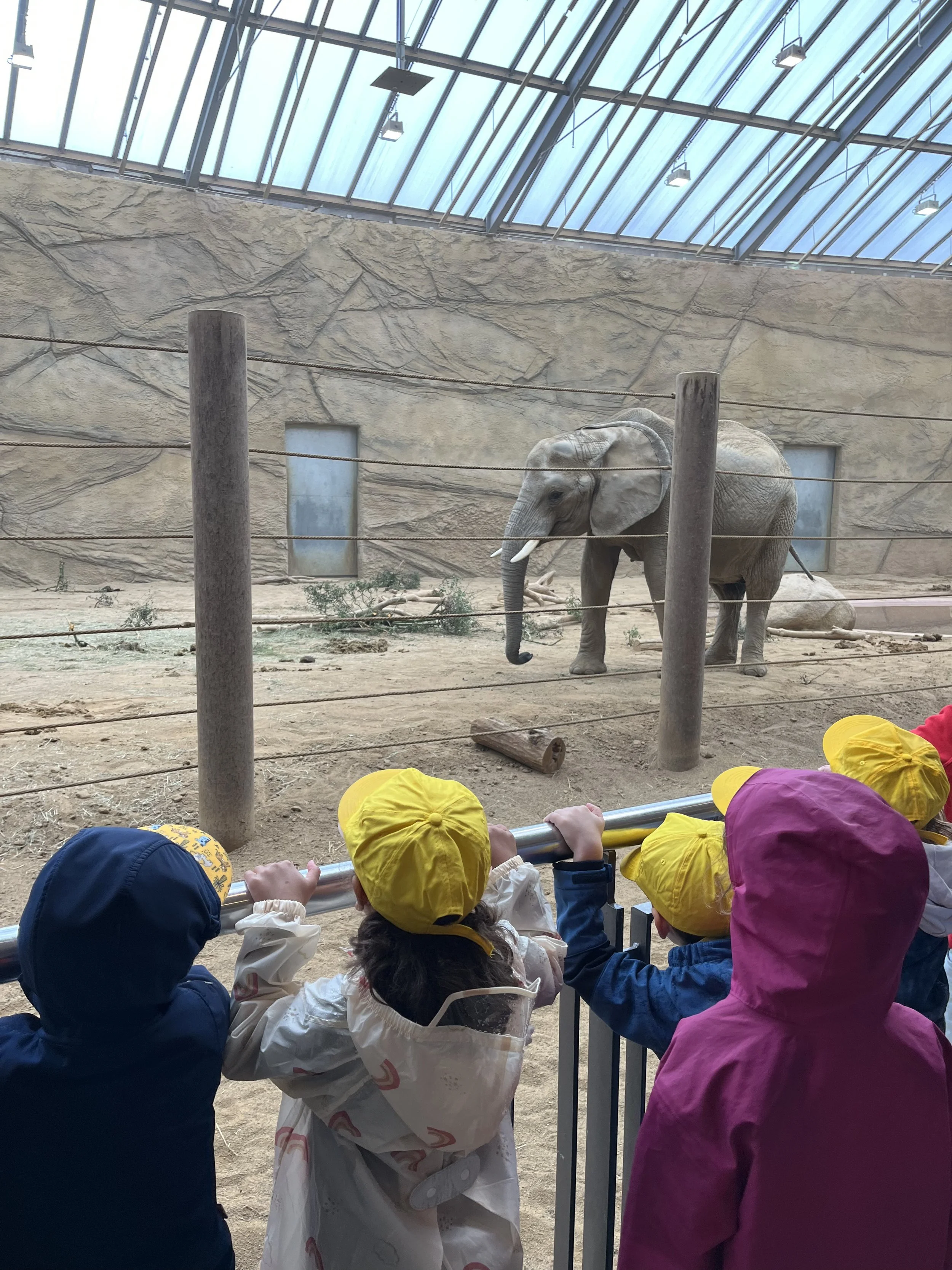 Ausflug der Kindergruppe in den Opel-Zoo