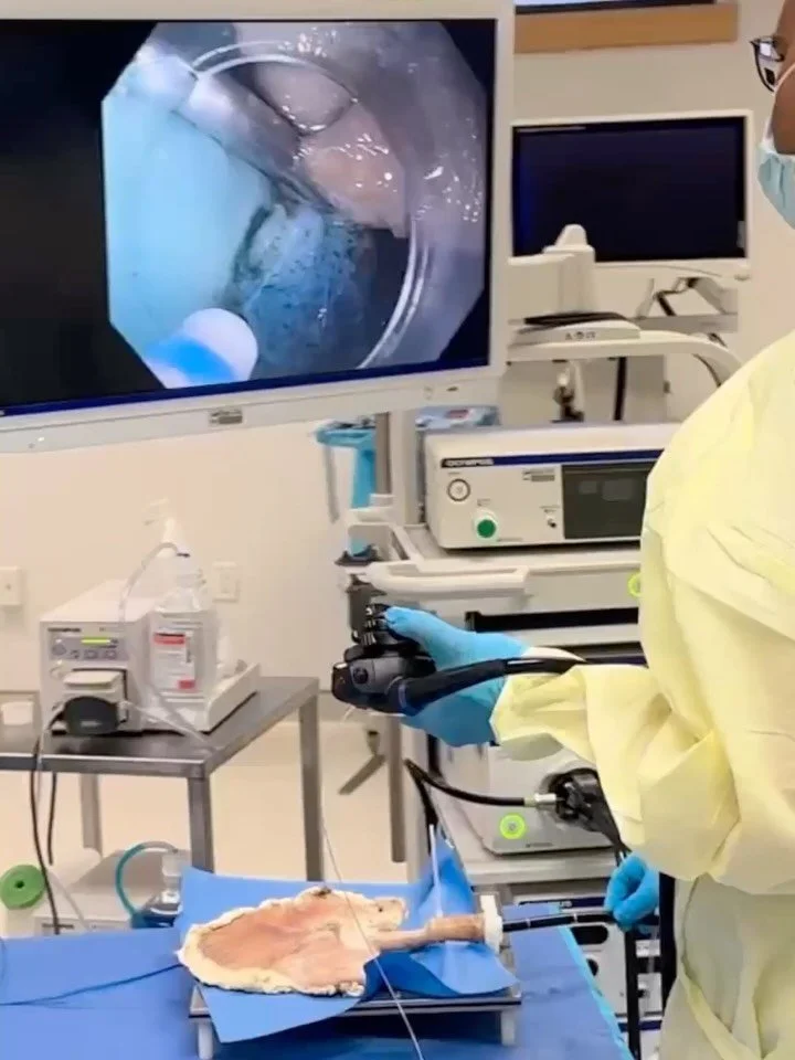 Dalhousie Digestive Care and Endoscopy residents stepped into the Skills Centre to sharpen their endoscopic techniques, practicing polyp removal using a porcine stomach model. Dr. Petropolis explains the procedure in the video. 

This kind of simulat